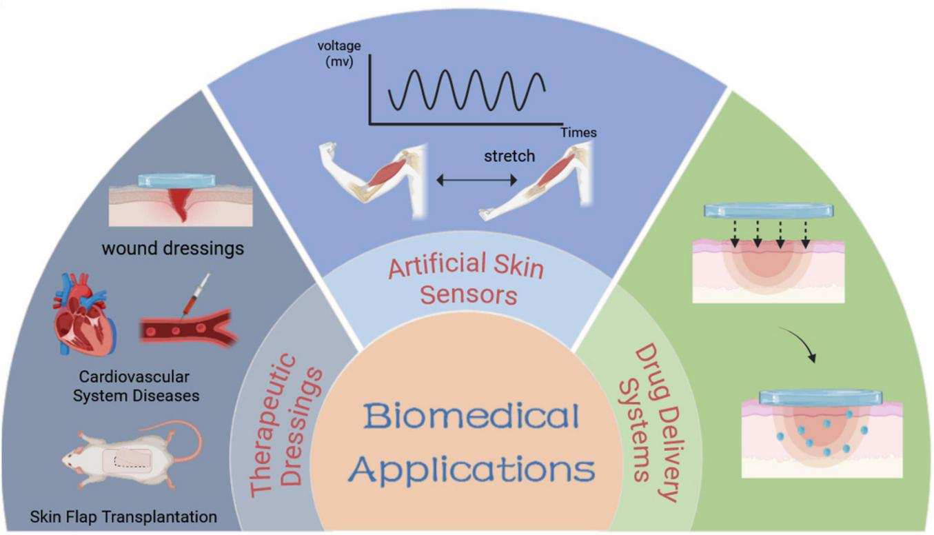 Diagram illustrating biomedical applications divided into three sections. The left section shows therapeutic dressings with images of wound dressings, cardiovascular system disease and flap transplantation The central section represents artificial skin sensors with an image showing arm movement and a graph of voltage change with the cyclic movement. The right section features drug delivery systems, with images of a layered skin model and arrows indicating medication release.