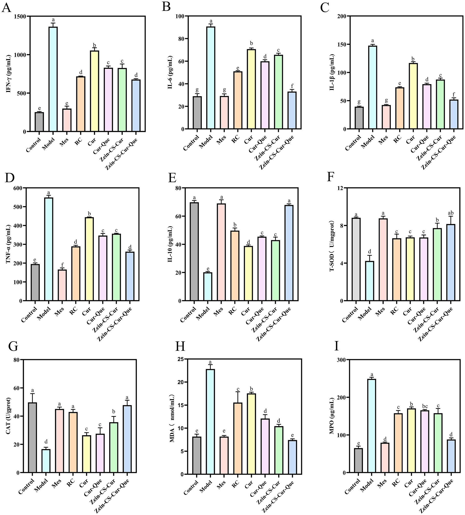 Nine bar graphs labeled A to I compare various treatments across control, model, mes, PC, Cur, Cur-Quc, Z@CS-Cur, Z@CS-Cur-Quc groups. They measure different parameters: IFN-γ, IL-6, IL-1β, TNF-α, IL-10, T-SOD, CAT, MDA, and MPO. Each graph shows variations among the treatments, with different bars marked by letters indicating statistical significance.