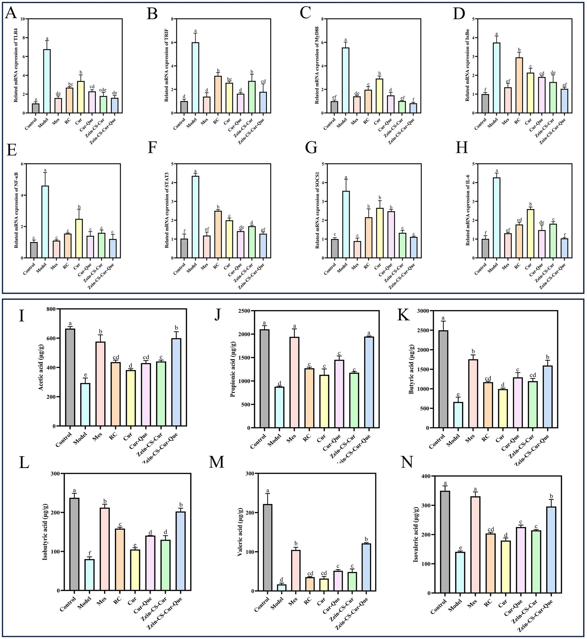 Grouped bar charts labeled A to N show various relative mRNA expressions and fatty acid contents under different conditions: Control, Model, Mp, NC, Cs, Cz, Z-Aat-Cs-Cz, Z-Aat-Cs-Cz-Dox. Charts A to H depict mRNA expressions for TNF, IFN, TLR5, IL6, IL10, IL12, SCFA1, and SCFA2. Charts I to N show concentrations of acetic, propionic, butyric, isobutyric, valeric, and isovaleric acids. Error bars represent variability, and different letters indicate statistical significance among groups.