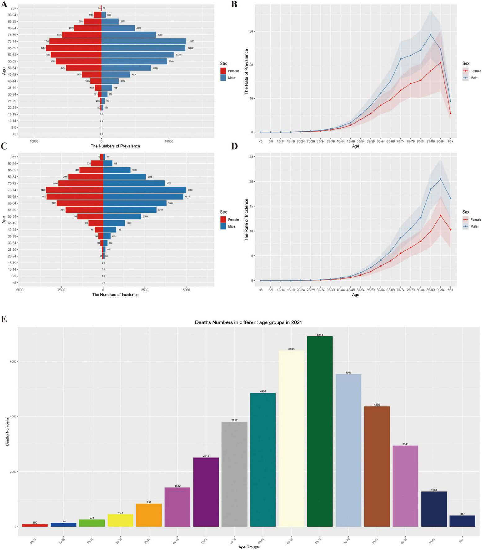Panel A displays a horizontal bar chart showing the number of prevalence by age group and sex, with males in blue and females in red. Panel B presents a line graph of prevalence rates across ages, with males and females indicated by different lines and shaded confidence intervals. Panel C is a horizontal bar chart illustrating incidence numbers by age and sex. Panel D shows a line graph of incidence rates across ages, similar to Panel B. Panel E is a vertical bar chart depicting death numbers across different age groups in 2021, with various colors representing different age groups.