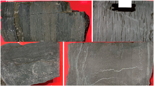 Close-up of four dark rock samples on a red background, each displaying unique textures and patterns. The top samples show vertical striations, while the bottom ones exhibit more uniform and smooth surfaces.