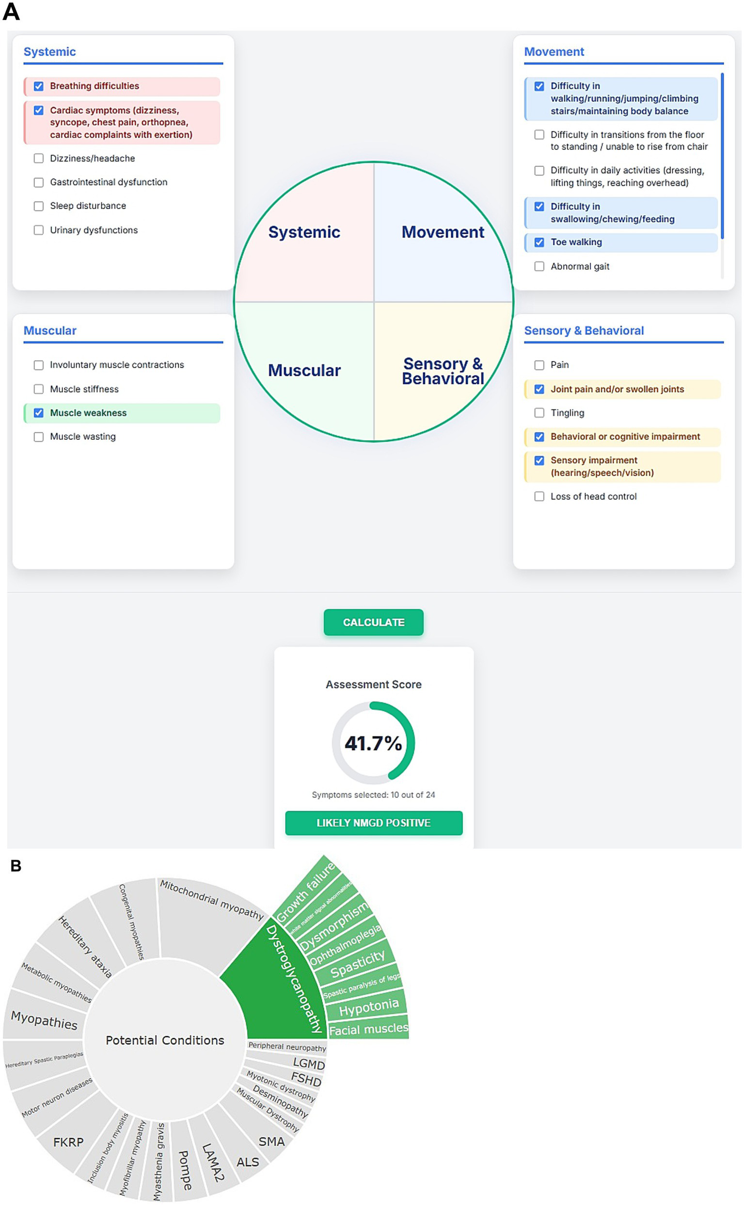 Four interconnected categories form a circular chart: Systemic, Muscular, Movement, and Sensory & Behavioral. Each category lists symptoms, with some boxes checked. Below, “Assessment Score” shows forty-one point seven percent with a “Likely NMGD Positive” indication. A “Calculate” button is present. Circular diagram illustrating potential conditions related to dystroglycanopathy. The central segment labeled "Potential Conditions" connects to various medical conditions and symptoms. Highlighted in green, dystroglycanopathy branches into terms like growth failure, dysmorphism, ophthalmoplegia, spasticity, hypotonia, and facial muscles. The surrounding conditions include mitochondrial myopathy, congenital myopathies, hereditary ataxia, and more.