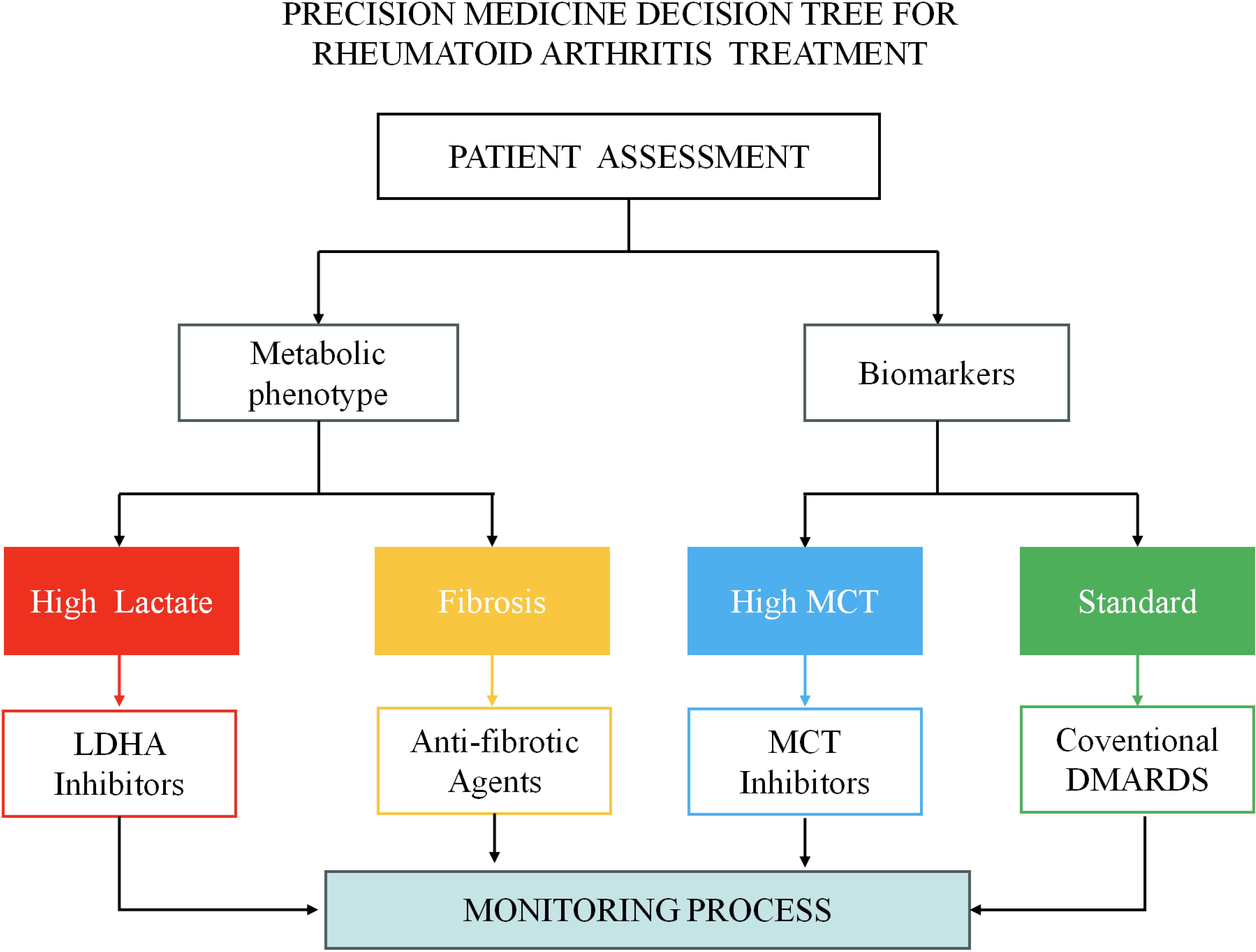 Precision medicine decision tree for rheumatoid arthritis treatment. Begins with patient assessment, leading to metabolic phenotype or biomarkers. Metabolic phenotype divides into high lactate treated with LDHA inhibitors, and fibrosis treated with anti-fibrotic agents. Biomarkers divide into high MCT treated with MCT inhibitors, and standard treated with conventional DMARDs. All paths lead to a monitoring process.