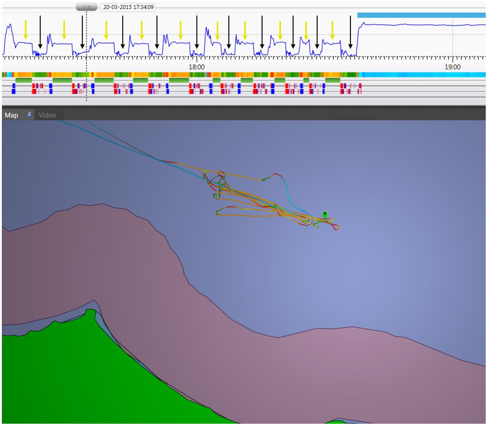 A split image showing fishing activities. The top section displays a graph on a time-based x-axis. The bottom section features a map with multicolored tracks indicating different activities during fishing over a shaded seascape.