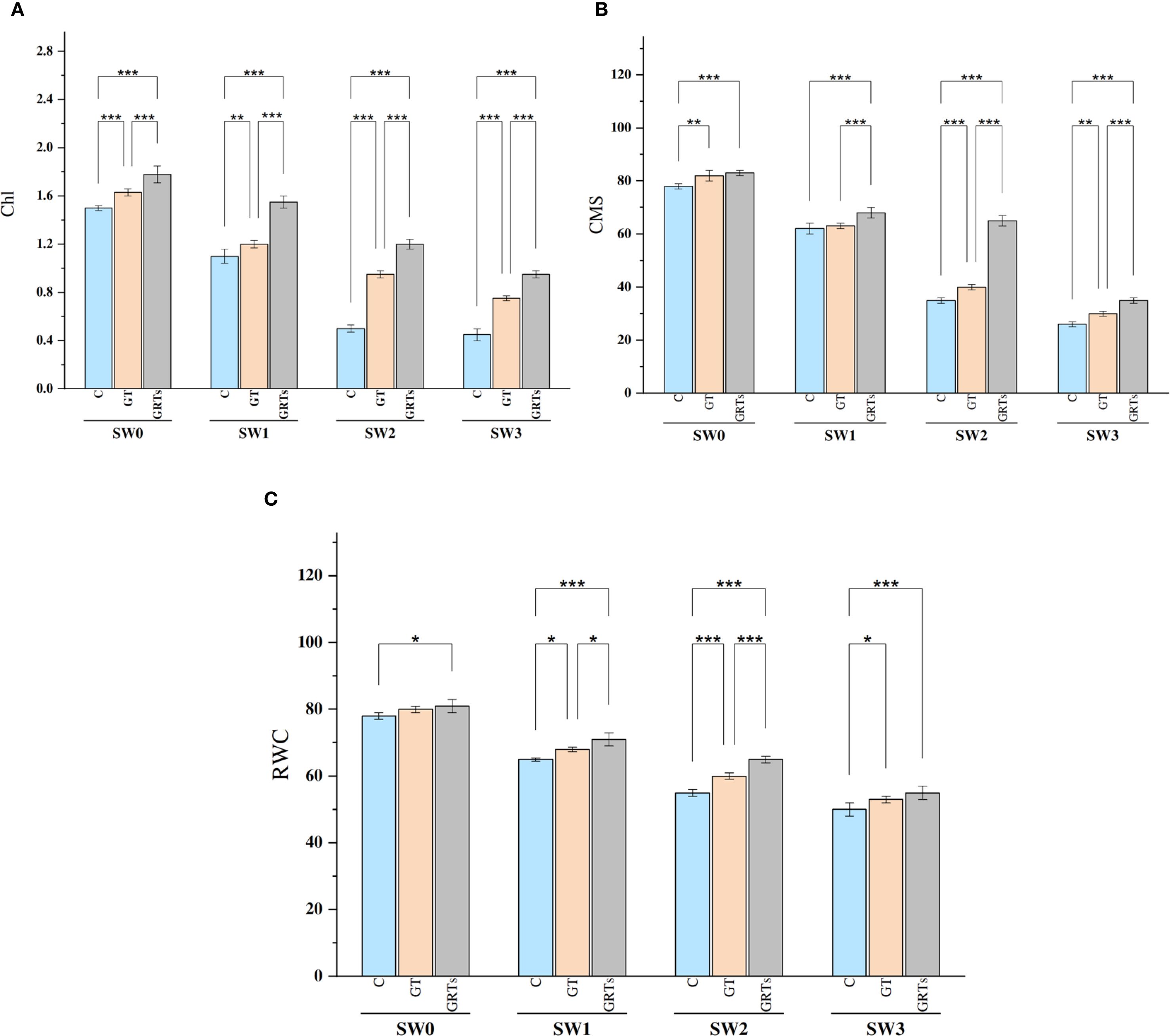 Three bar graphs labeled A, B, and C display data comparisons. Graph A (Chl) shows four groups (SW0, SW1, SW2, SW3) with color-coded bars (blue, gray, orange) indicating significant differences, marked by asterisks. Graph B (CMS) similarly shows the same groups with corresponding color bars and significant differences noted. Graph C (RWC) depicts the same groups with varying bar heights and significance marked. Each graph compares C, GT, and GRT- conditions.