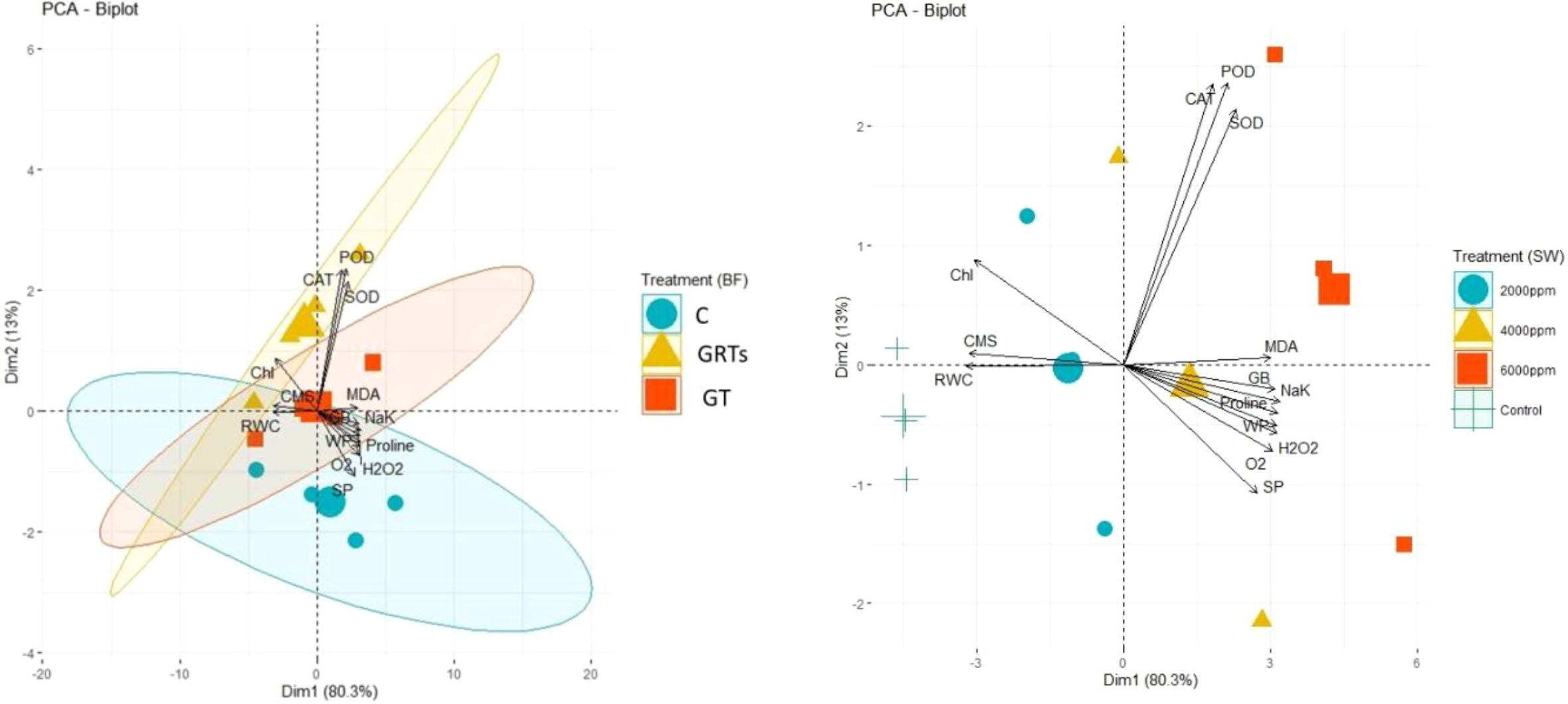 Two PCA biplots compare biological factors and treatments. The left plot uses blue circles, yellow triangles, and red squares to represent C, GRTs, and GT under the BF treatment. The right plot uses similar shapes for 2000 ppm, 4000 ppm, 6000 ppm, and control under the SW treatment. Data dimensions capture relationships among variables like Chl, MDA, and CAT, with color-coded ellipses indicating treatment groups.