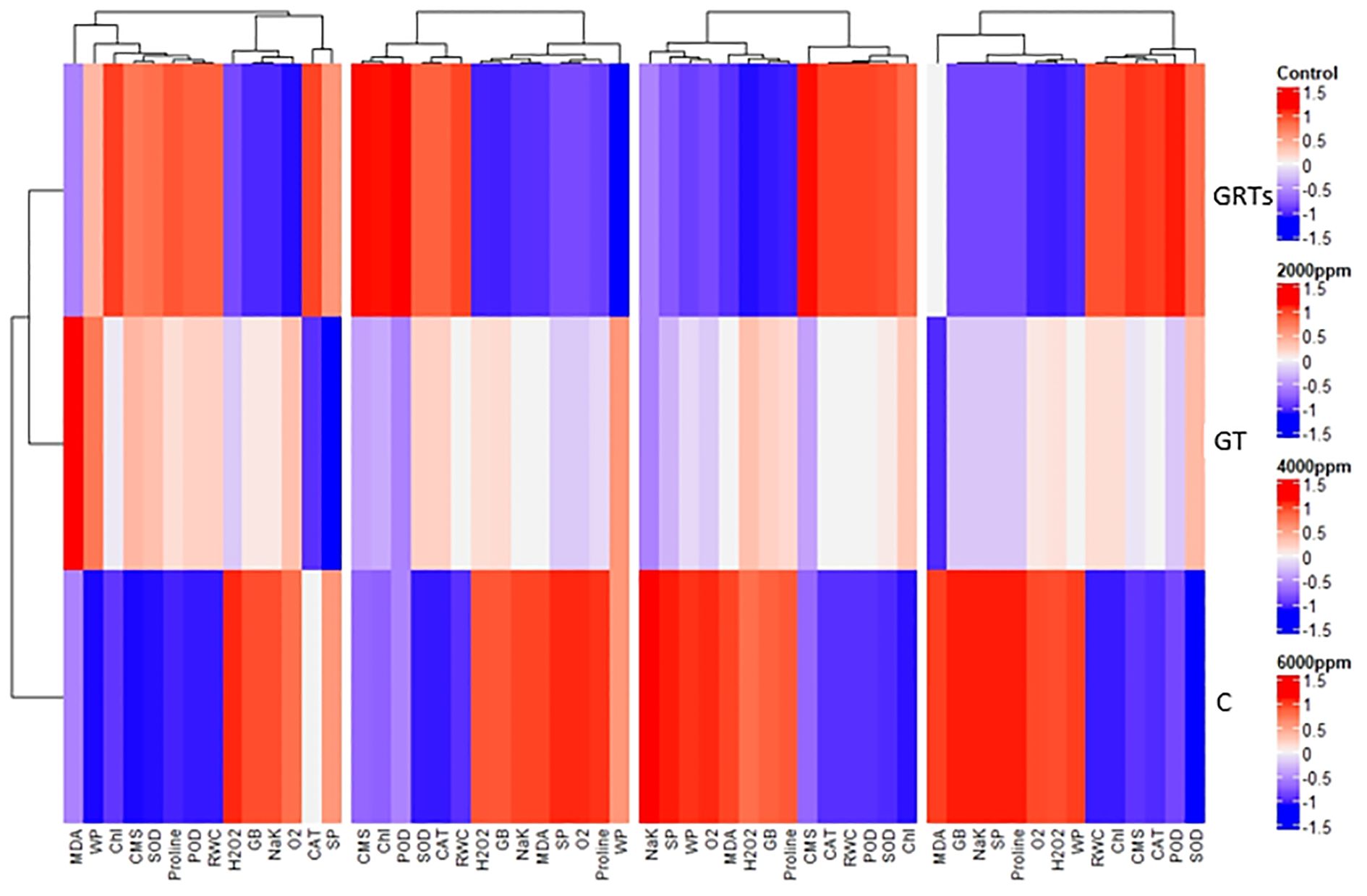 Clustered heat map showing changes in various parameters, with columns labeled MDA, CMS, SOD, and others. Rows represent different conditions: control, GRTs, GT, 2000ppm, 4000ppm, and 6000ppm. The color scale ranges from red to blue, indicating parameter levels from high to low.