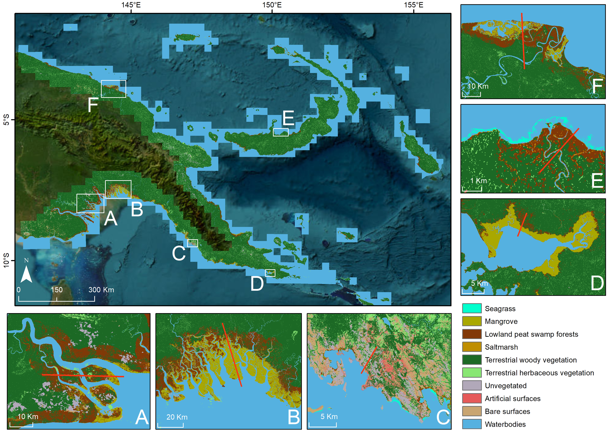 Map showing land cover types in a region with main map in the center and six insets labeled A through F. Key indicates colors representing seagrass, mangrove, peat swamp forests, saltmarsh, and other vegetation types. Insets highlight detailed areas with labeled scales. Land and water bodies are differentiated.