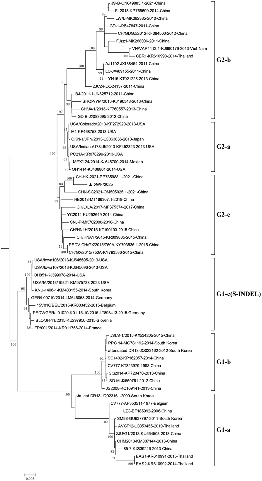 Phylogenetic tree diagram showing the evolutionary relationships among various viral strains from different countries, labeled with strain identifiers and years. The tree is divided into distinct groups labeled G2-b, G2-a, G2-c, G1-c(S-INDEL), G1-b, and G1-a, indicating diverse genetic lineages. The diagram includes branch lengths and numerical values indicating bootstrap support, visualizing genetic diversity and relatedness of strains from China, USA, Vietnam, Thailand, South Korea, and several European countries.