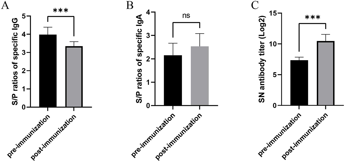 Bar graphs labeled A, B, and C show immune response measurements pre- and post-immunization. Graph A displays a significant increase in specific IgG S/P ratios post-immunization. Graph B shows no significant change in specific IgA S/P ratios. Graph C indicates a significant increase in SN antibody titers (Log2) post-immunization. Statistical significance is marked with asterisks.