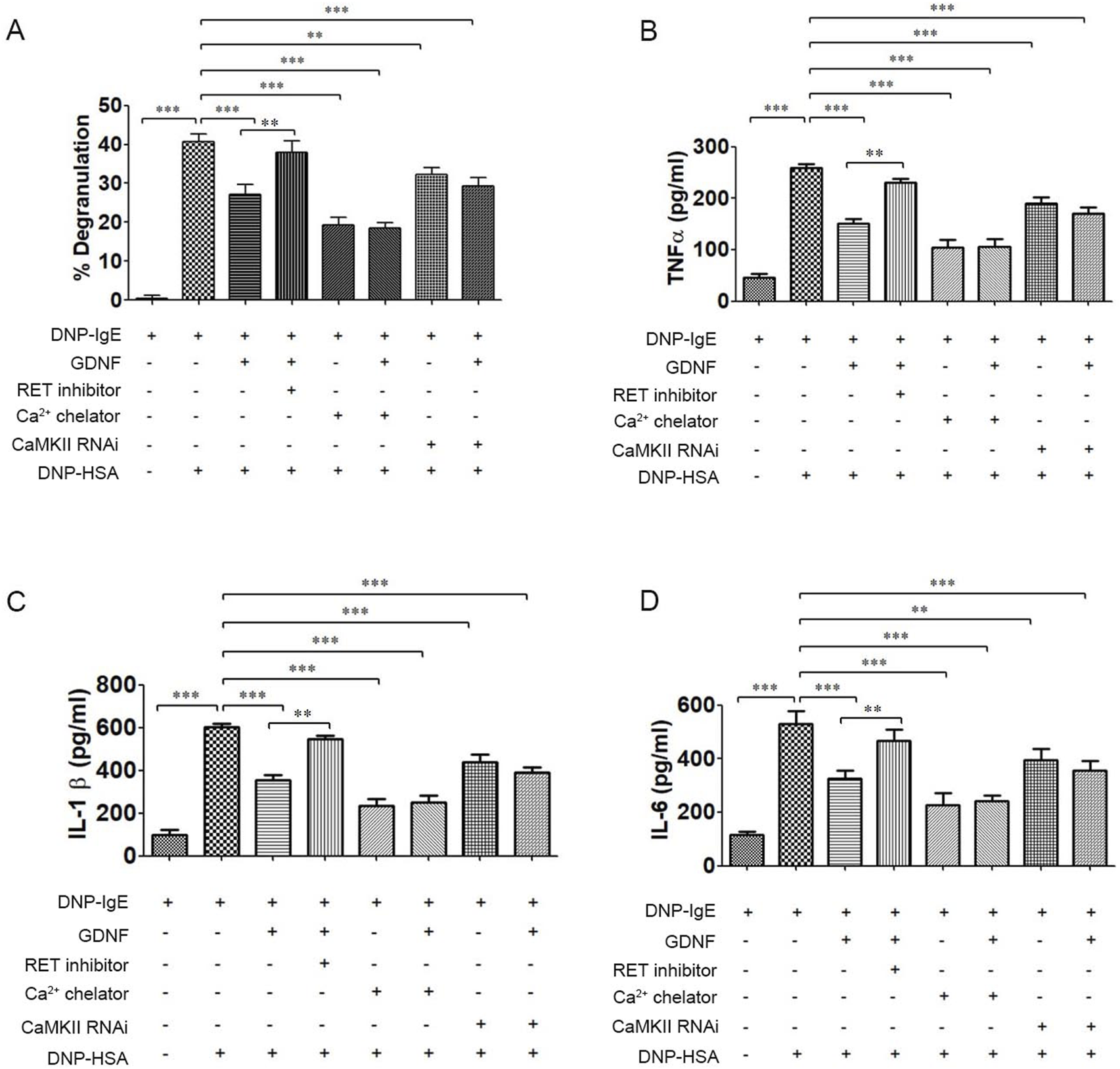 Bar graphs depicting the effects of various treatments on different parameters. (A) Degranulation percentage, (B) TNF-alpha, (C) IL-1 beta, and (D) IL-6 levels with conditions like DNP-IgE, GDNF, and inhibitors. Significant differences are marked with asterisks, showing statistical comparisons between groups.