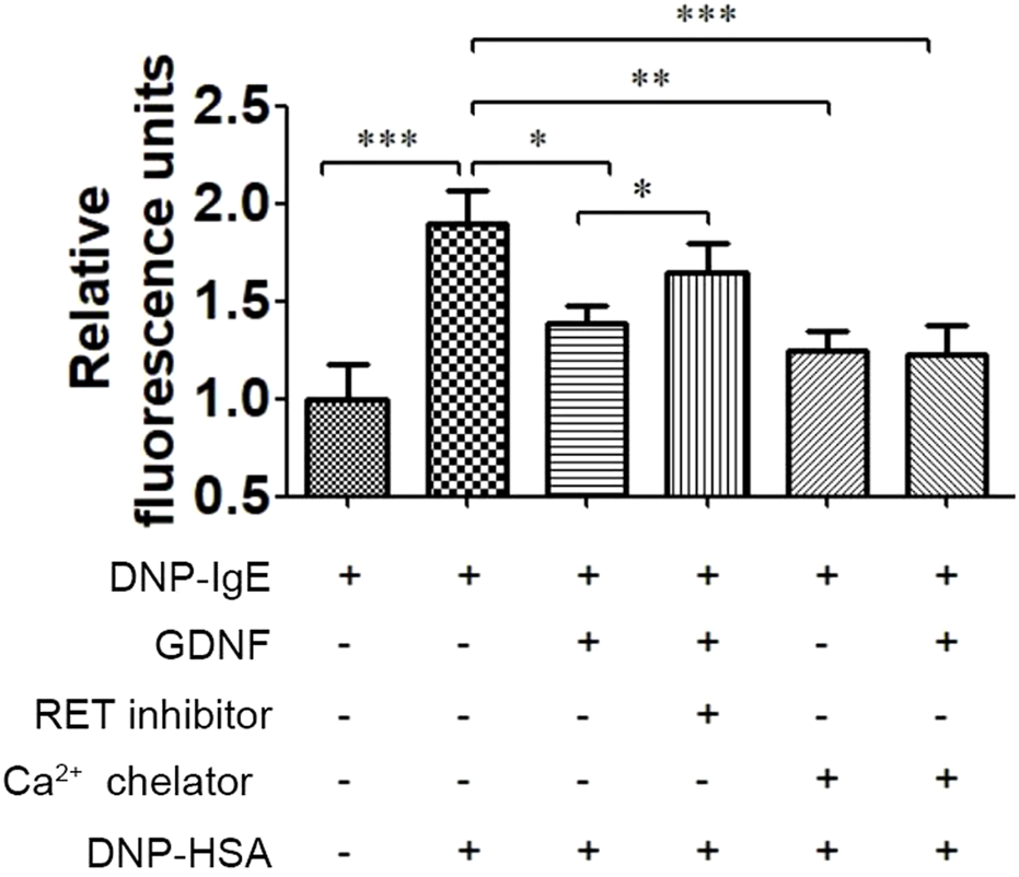 Bar graph showing relative fluorescence units for different conditions involving DNP-IgE, GDNF, RET inhibitor, calcium chelator, and DNP-HSA. Bars demonstrate varying fluorescence levels, with statistical significance indicated by asterisks; more asterisks denote higher significance levels.