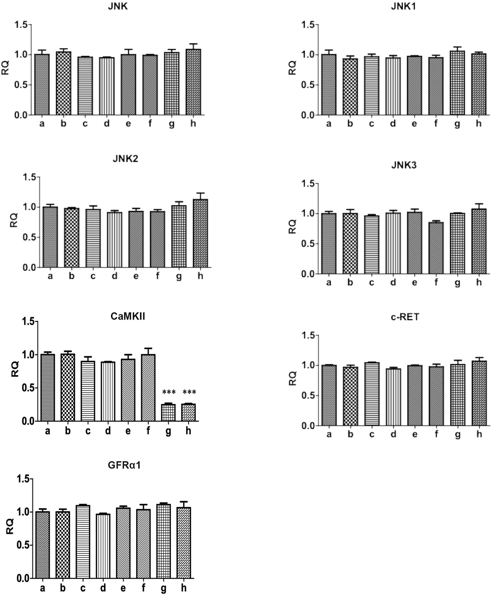 Bar graphs displaying relative quantification (RQ) of gene expression levels for JNK, JNK1, JNK2, JNK3, CaMKII, c-RET, and GFRα1 across conditions labeled a to h. CaMKII shows significant reduction in expression for conditions g and h, marked by asterisks. Other genes have consistent expression across conditions.