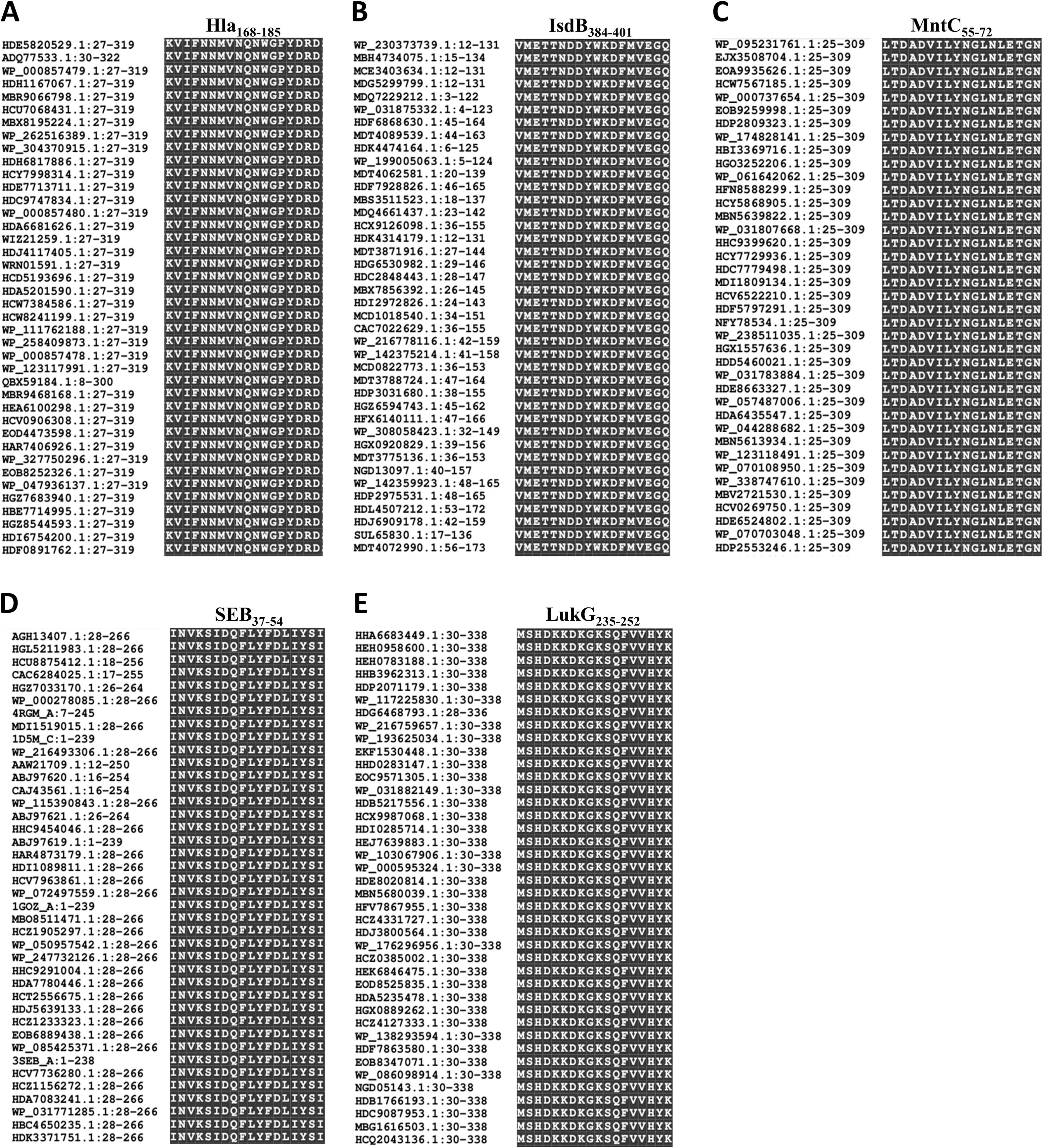 Multiple sequence alignment images labeled A to E showing homologous protein sequences. Each panel contains a consensus sequence with columns listing sequence IDs, range numbers, and aligned sequences. Panels are titled: A. HIa, B. IsdB, C. MntC, D. SEB, E. LukG. Each shows sequences aligned to their respective consensus, highlighting conserved regions in darker shading.