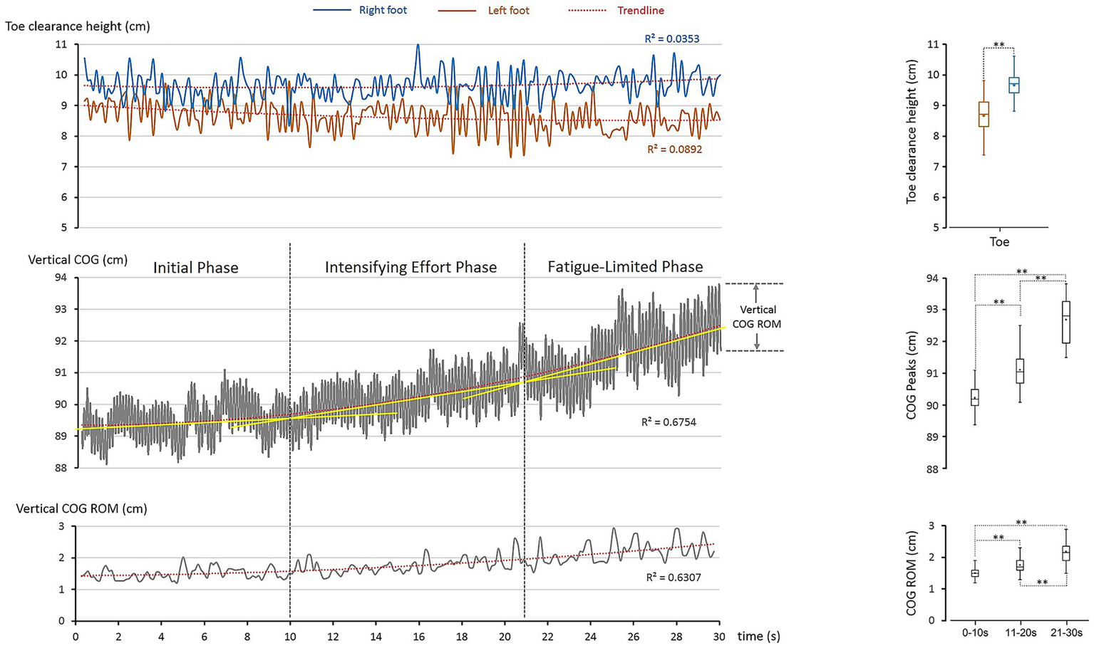 Graphs display biomechanical data. The first graph shows toe clearance height for right and left foot with trendlines. The second graph depicts vertical center of gravity (COG) across three phases: initial, intensifying effort, and fatigue-limited. The third graph presents vertical COG range of motion (ROM). On the right, box plots illustrate toe clearance height, COG peaks, and COG ROM with significant differences marked.