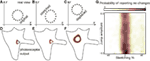 www.frontiersin.org