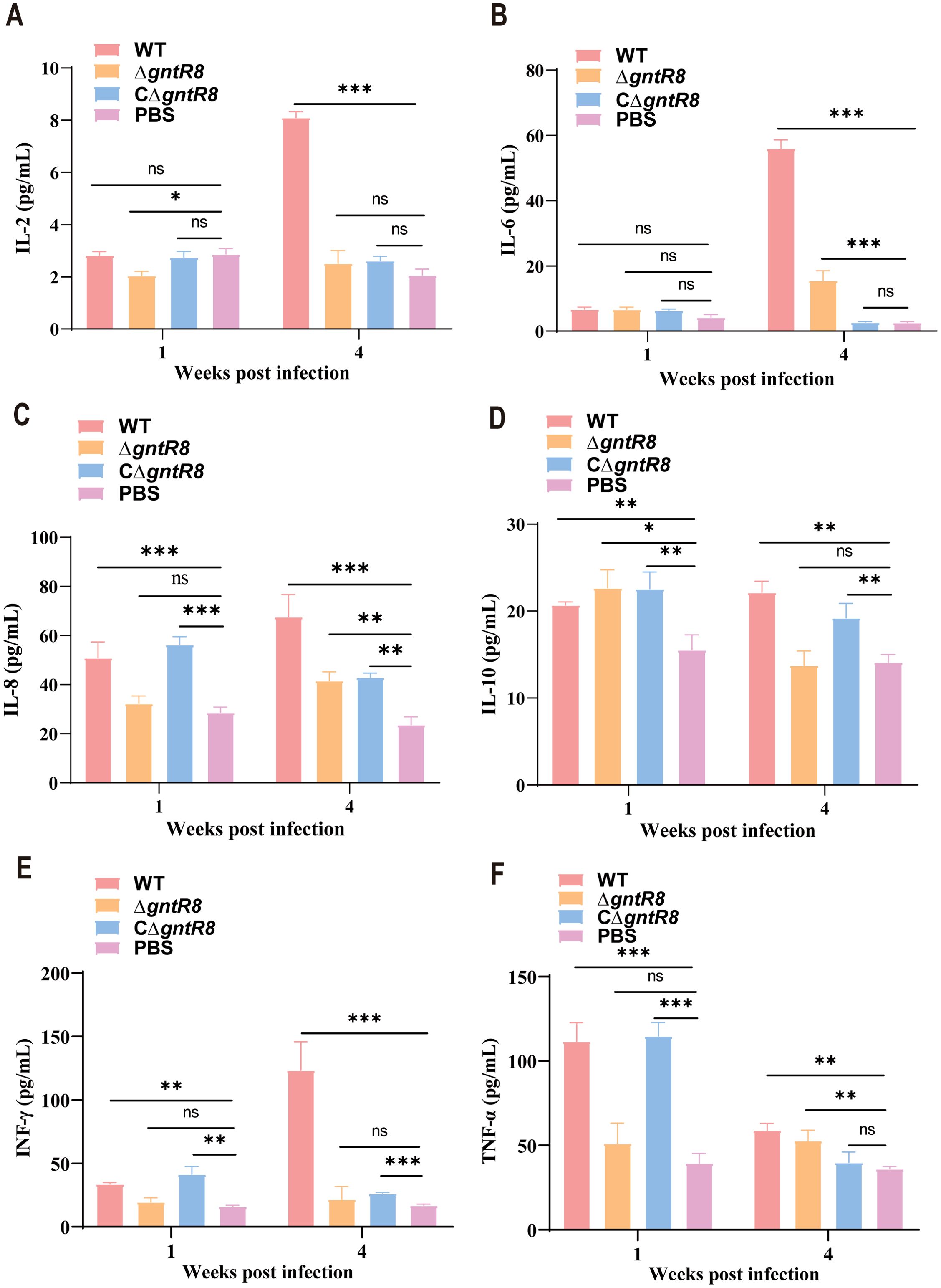 Bar graphs labeled A to F show cytokine levels at 1 and 4 weeks post-infection for groups WT, ΔgntR8, CΔgntR8, and PBS, indicated by different colors. Cytokines measured include IL-2, IL-6, IL-8, IL-10, IFN-γ, and TNF-α. Significant differences are marked by asterisks and “ns” indicates non-significant differences.