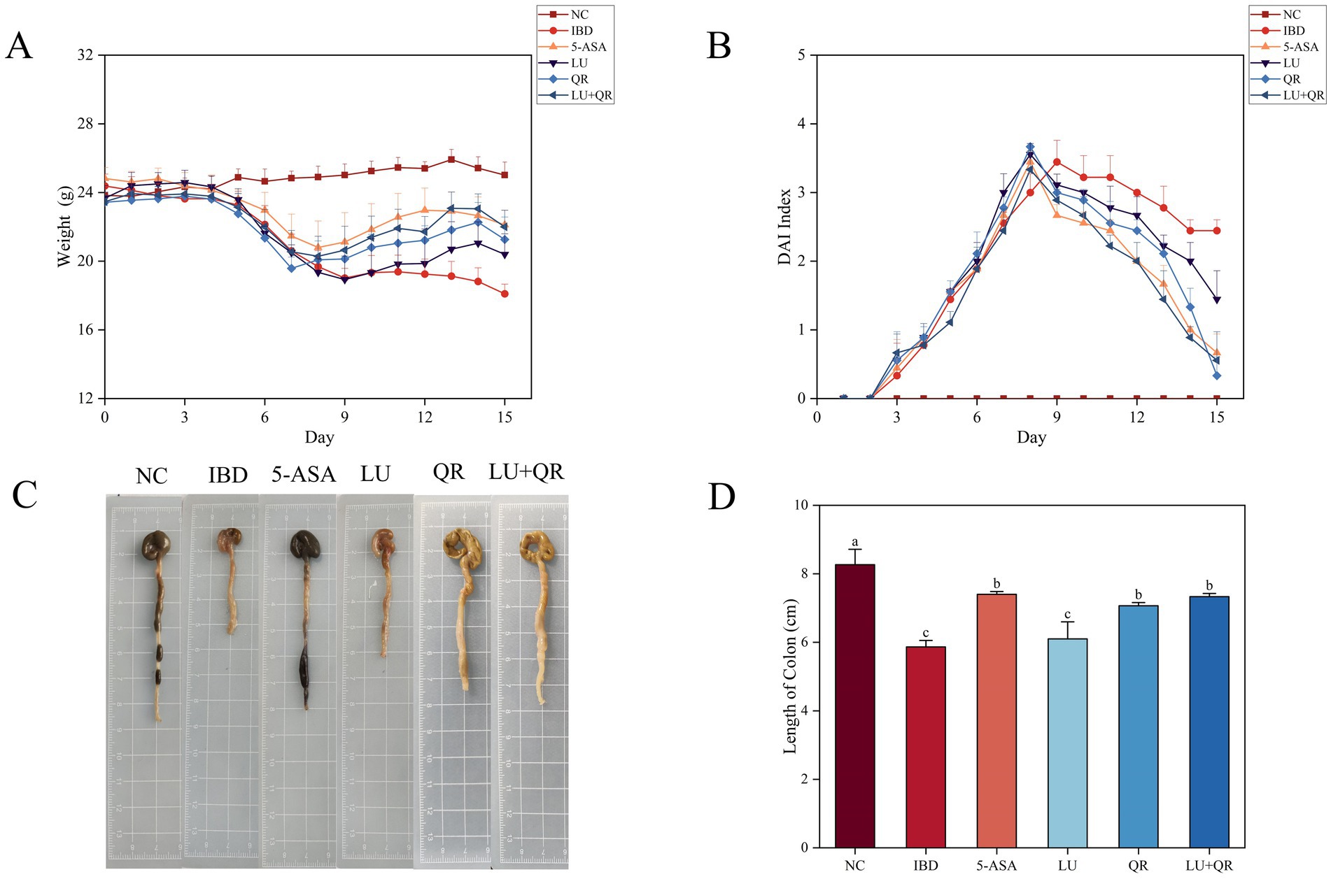 Panel A shows a line graph of weight over 15 days for six groups: NC, IBD, 5-ASA, LU, QR, and LU+QR. Panel B displays a line graph of the DAI Index over the same period. Panel C shows images of colons from each group. Panel D is a bar graph of colon length for each group, with NC having the longest and IBD the shortest.