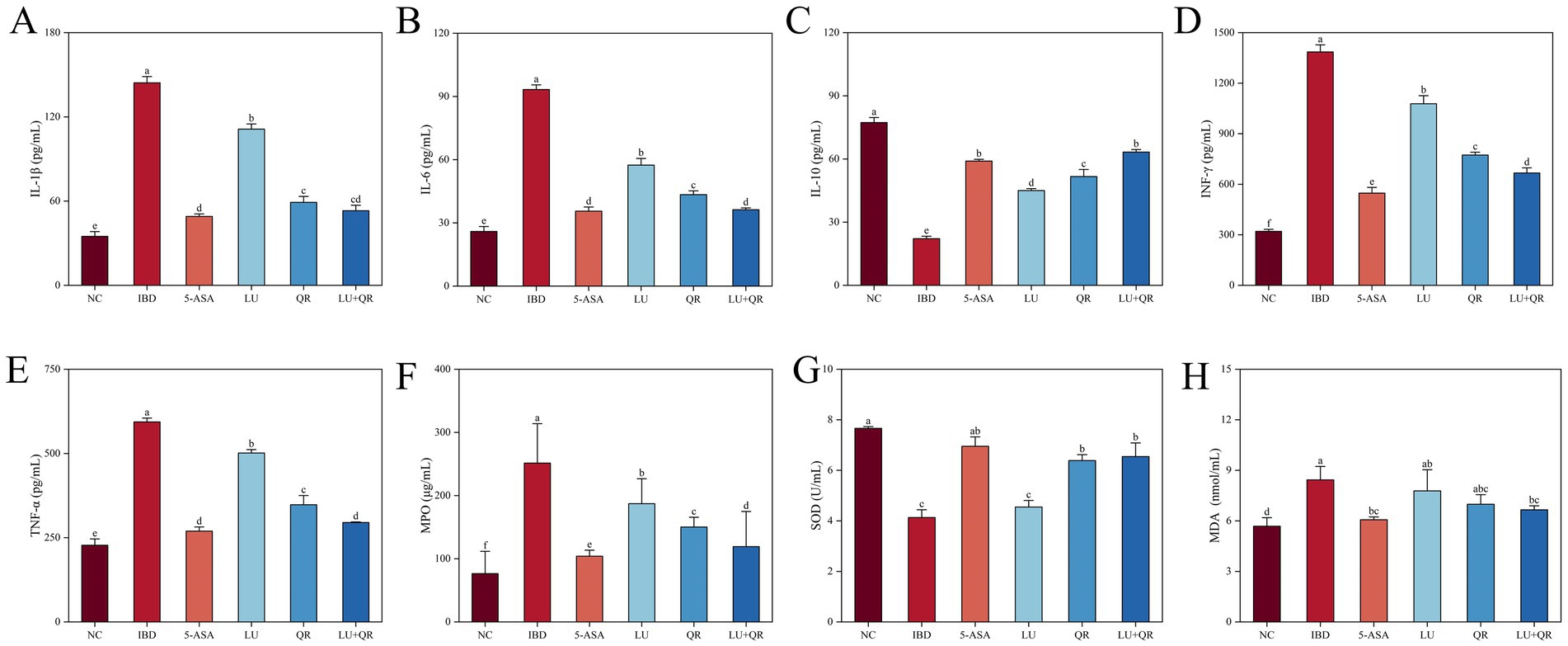 Bar charts labeled A to H compare different biomarker levels in various treatment groups: NC, IBD, 5-ASA, LU, QR, and LU+QR. Each chart shows distinct biomarker measurements, with values marked by different letters representing statistical significance. The biomarkers include IL-1β, IL-6, IL-10, INF-γ, TNF-α, MPO, SOD, and MDA, measured in units like picograms per milliliter and micromoles per milliliter. The IBD group generally shows higher levels, indicating an increase compared to other treatments. Statistical differences are highlighted with distinct letters above each bar.