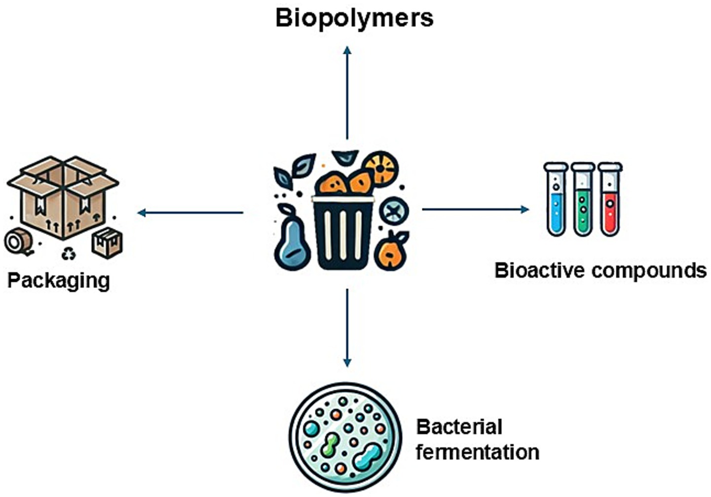 Illustration of biopolymers with a central image of organic waste surrounded by arrows pointing to packaging, bioactive compounds, and bacterial fermentation, showing the transformation process.