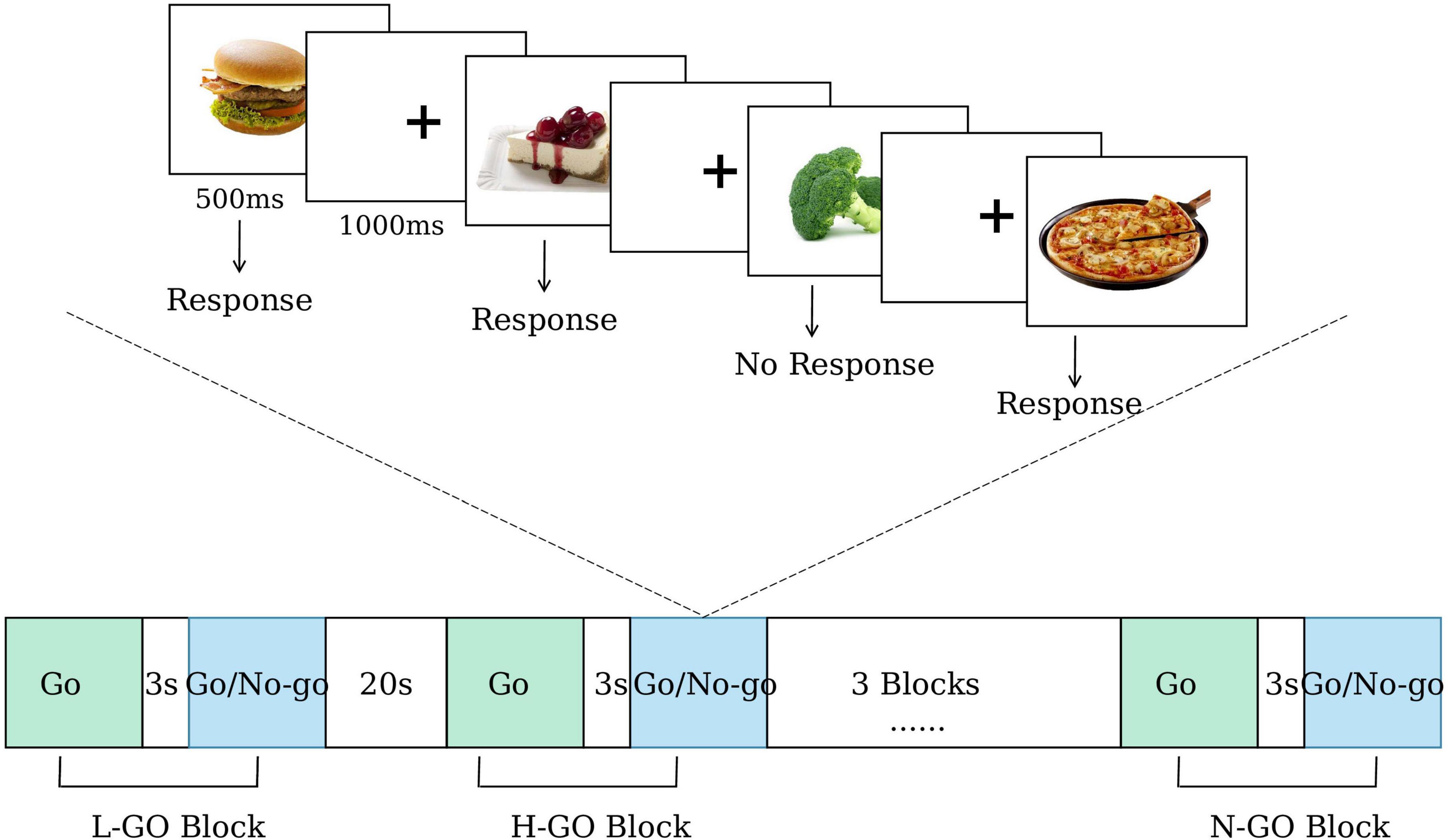 Flowchart illustrating the food Go/No-go cognitive task, showing three blocks: L-GO, H-GO, and N-GO, delineated by tasks specified as “Go” or “Go/No-go,” lasting several seconds and repeated across the blocks. At the top, the H-GO block is highlighted, containing low-calorie and high-calorie food images, requiring responses to high-calorie foods while retaining responses to low-calorie foods.
