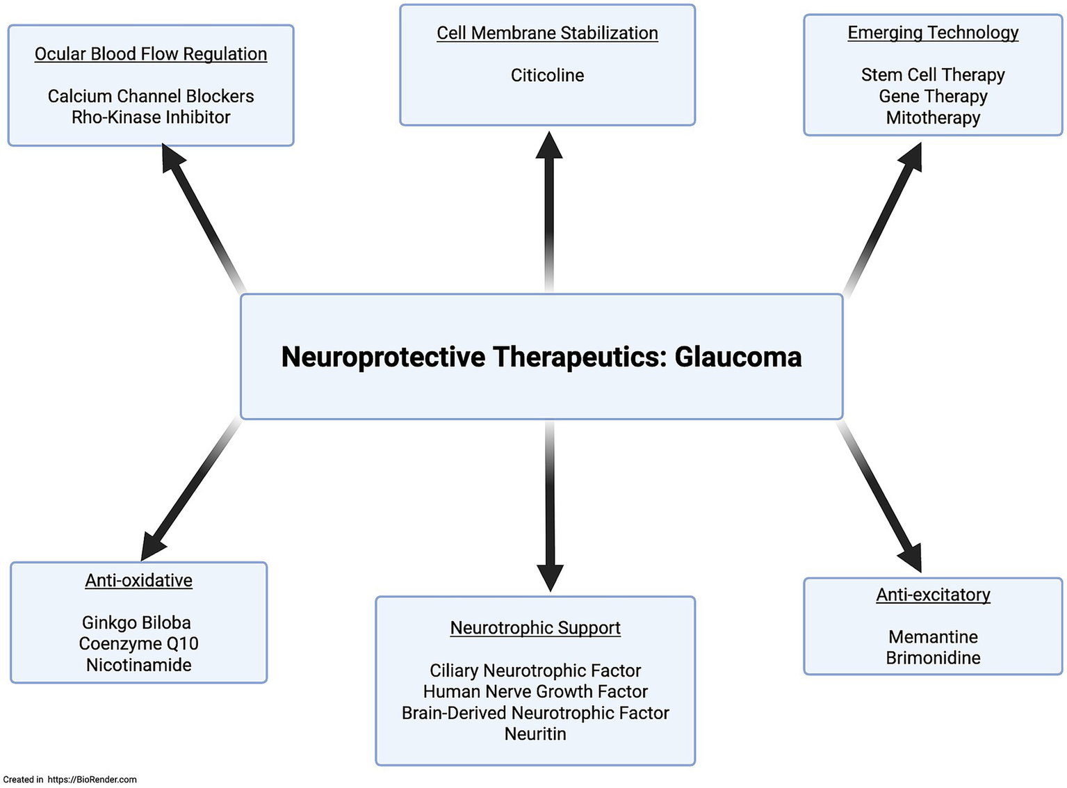 Flowchart illustrating neuroprotective therapeutics for glaucoma. Central node labeled "Neuroprotective Therapeutics: Glaucoma" connects to six peripheral nodes: "Ocular Blood Flow Regulation" with Calcium Channel Blockers and Rho-Kinase Inhibitor, "Cell Membrane Stabilization" with Citicoline, "Emerging Technology" with Stem Cell Therapy, Gene Therapy, Mitotherapy, "Anti-oxidative" with Ginkgo Biloba, Coenzyme Q10, Nicotinamide, "Neurotrophic Support" with various neurotrophic factors, and "Anti-excitatory" with Memantine and Brimonidine.