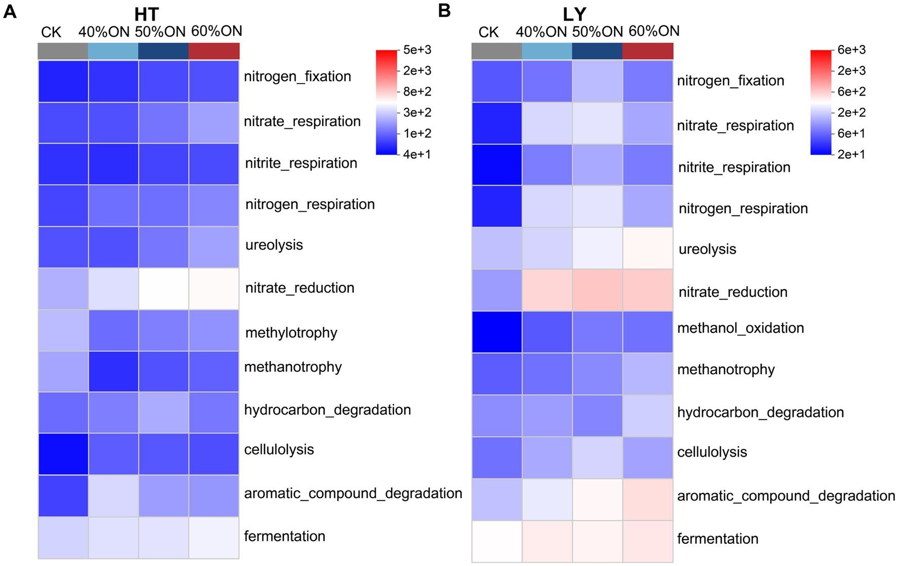 Heatmap comparing two groups, HT and LY, across stages CK, Rows indicate processes such as nitrogen fixation, nitrate respiration, and fermentation. Color gradient from blue to red shows varying intensities, corresponding to numeric values indicated in the legend. HT group processes include methylotrophy, methanotrophy, and cellulolysis. LY group processes include methanol oxidation and aromatic compound degradation.