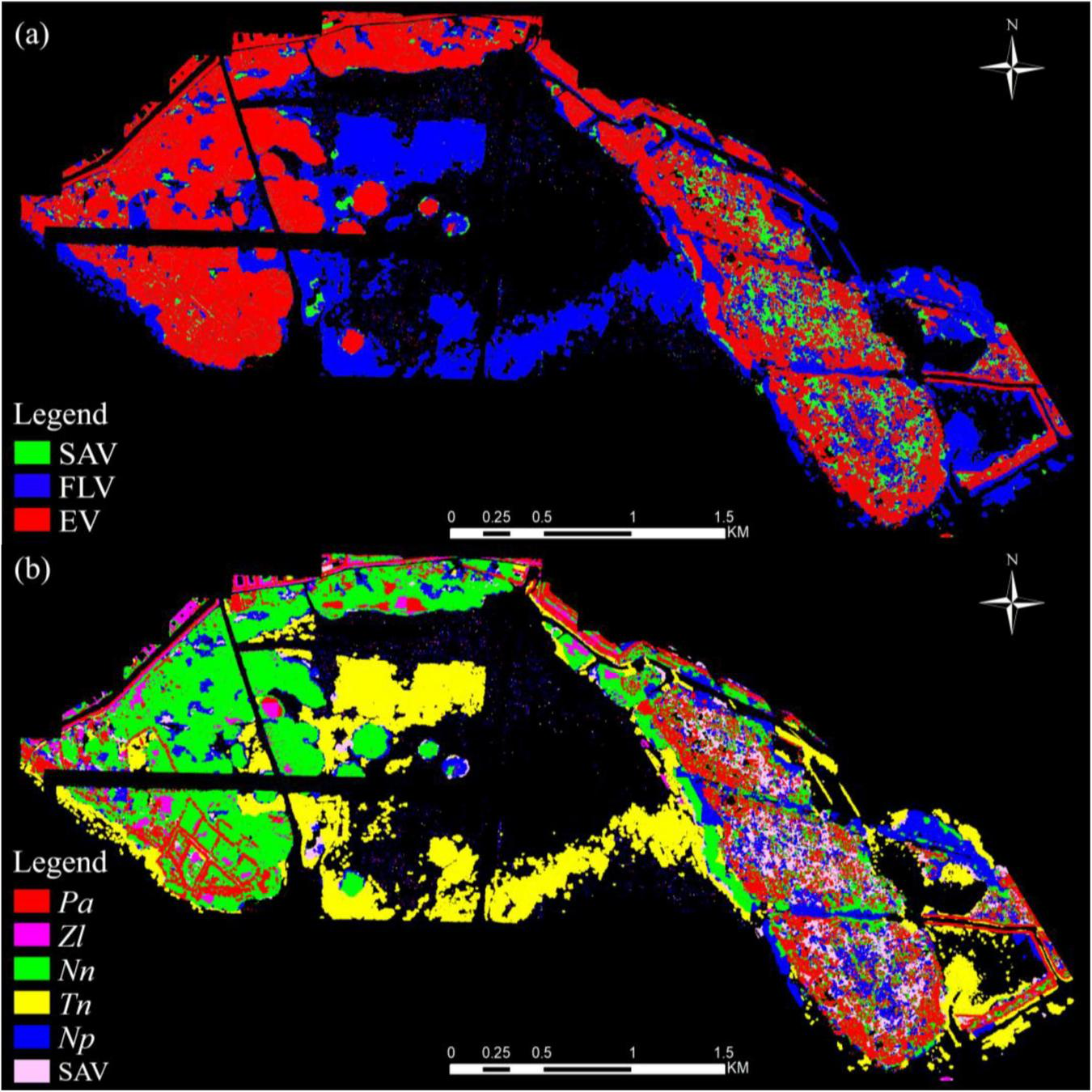 Two color-coded maps illustrating spatial distribution. (a) shows regions marked as SAV in green, FLV in blue, and EV in red. (b) maps include Pa, Zl, Nn, Tn, Np in various colors with SAV remaining in green. Both maps include a scale bar and directional compass.