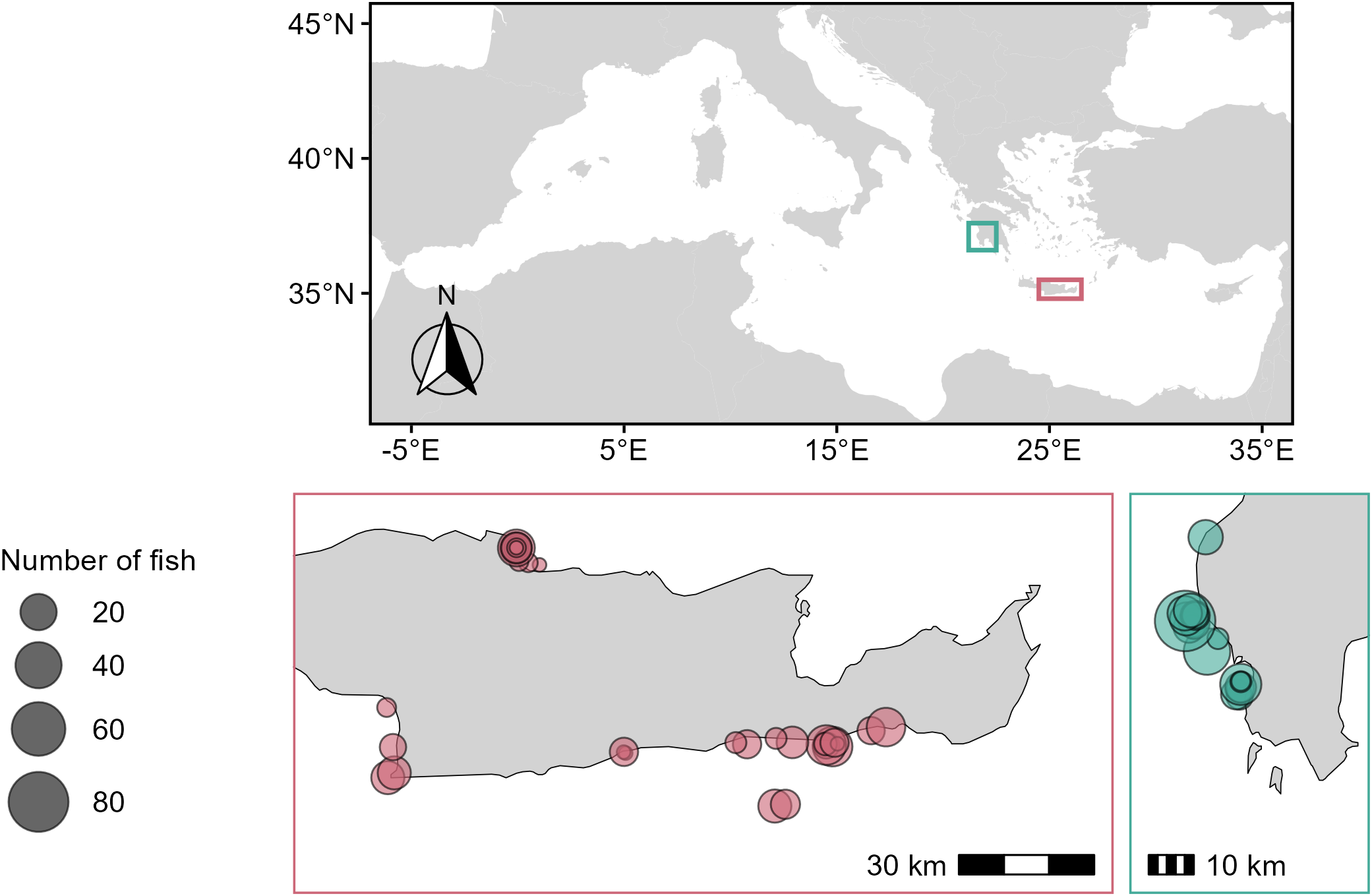 Map of the Mediterranean region with two insets: one focusing on parts of Crete, the other on a nearby area. The circles indicate fish populations, with varying sizes showing numbers: 20, 40, 60, 80. Scale bars show distances of 30 kilometers and 10 kilometers.
