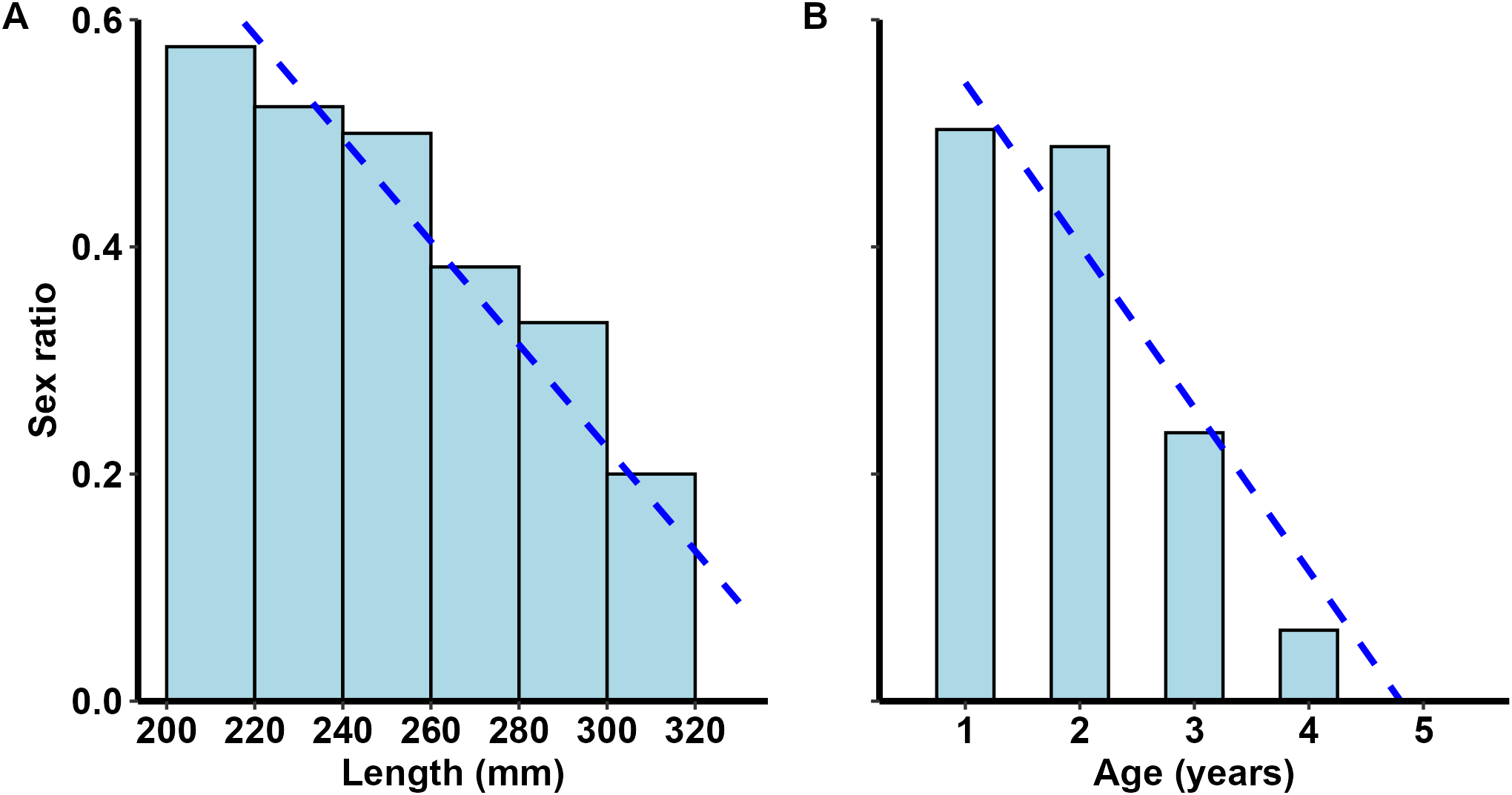 Two bar graphs illustrate sex ratio data. Graph A shows the ratio decreasing from 0.6 to 0.0 as fish length increases from 200 to 320 millimeters. Graph B indicates the ratio decreasing from 0.6 to 0.0 as age increases from one to five years, both with a declining blue dashed trend line.