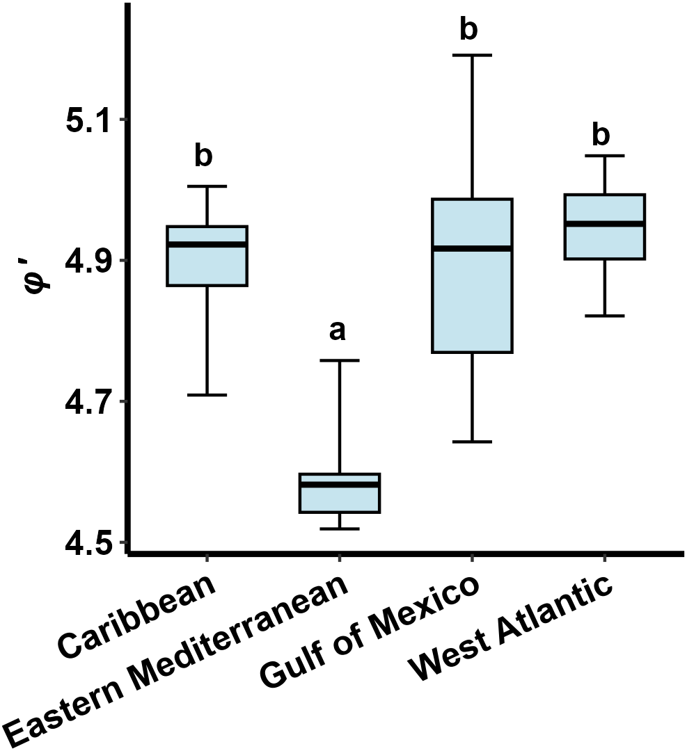 Box plot comparing the variable phi prime across four regions: Caribbean, Eastern Mediterranean, Gulf of Mexico, and West Atlantic. The Caribbean, Eastern Mediterranean, and West Atlantic show similar higher medians labeled as “b,” while the Gulf of Mexico has a lower median labeled “a.” The y-axis ranges from 4.5 to 5.1.