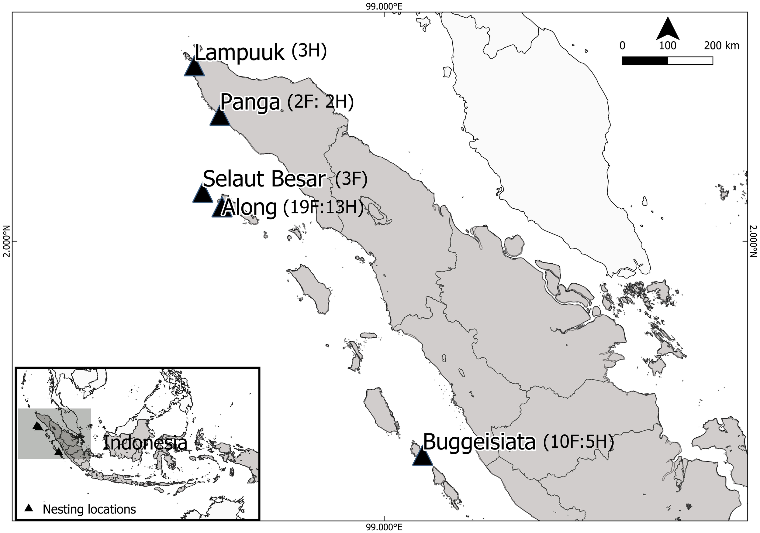 Map of northern Sumatra highlighting turtle nesting locations with black triangles. Locations include Lampuuk, Panga, Selaur Besar, Along, and Buggeisiata. An inset shows the map's position in Indonesia. A scale bar indicates distances of up to two hundred kilometers.