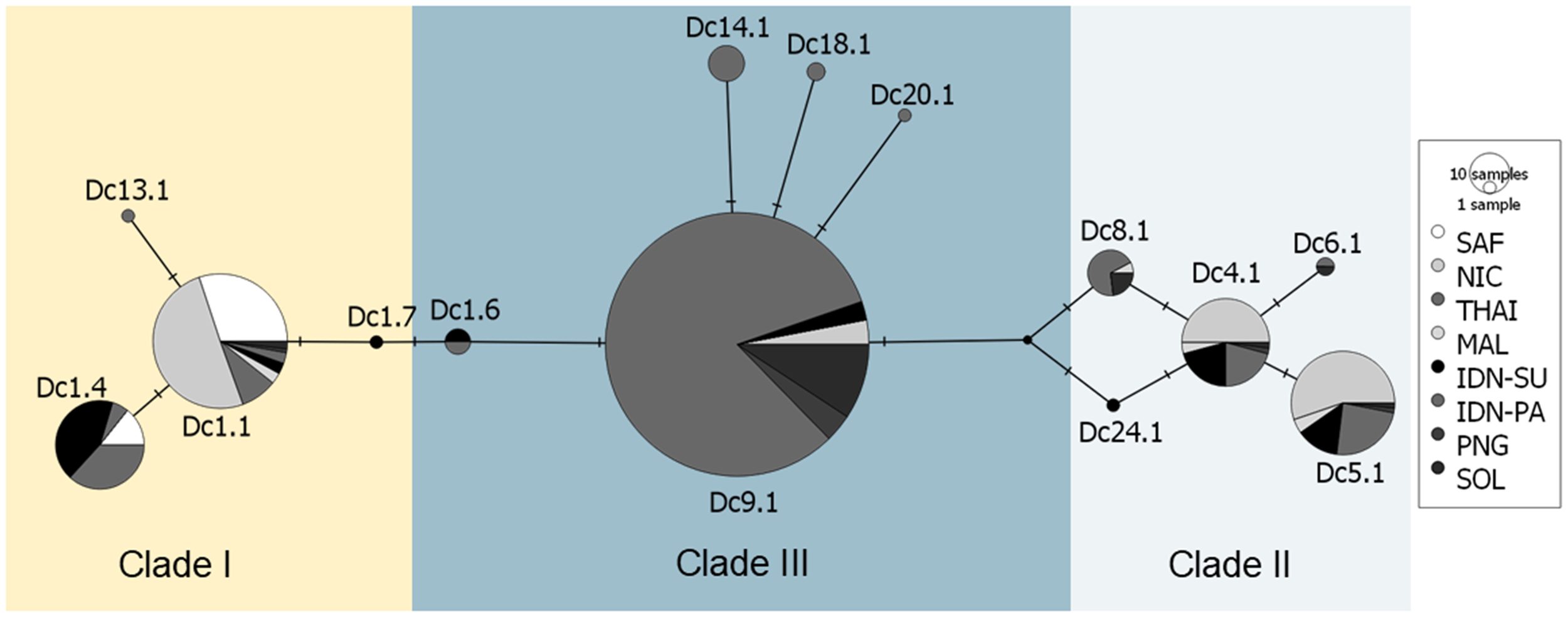 Phylogenetic network diagram showing three clades, each represented by circles of varying sizes and shades, indicating different sample sources. Clade I is in yellow, Clade III in blue, and Clade II in light blue. The legend explains the color coding for sample origins: SAF, NIC, THAI, etc. Each node is labeled (e.g., Dc1.1) and connected by lines to indicate relationships.