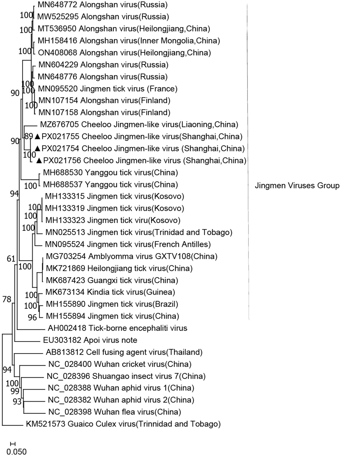 Phylogenetic tree depicting the relationships between various viruses, labeled with virus names and locations such as Russia, China, and France. Bootstrap values indicate confidence levels at each node. The