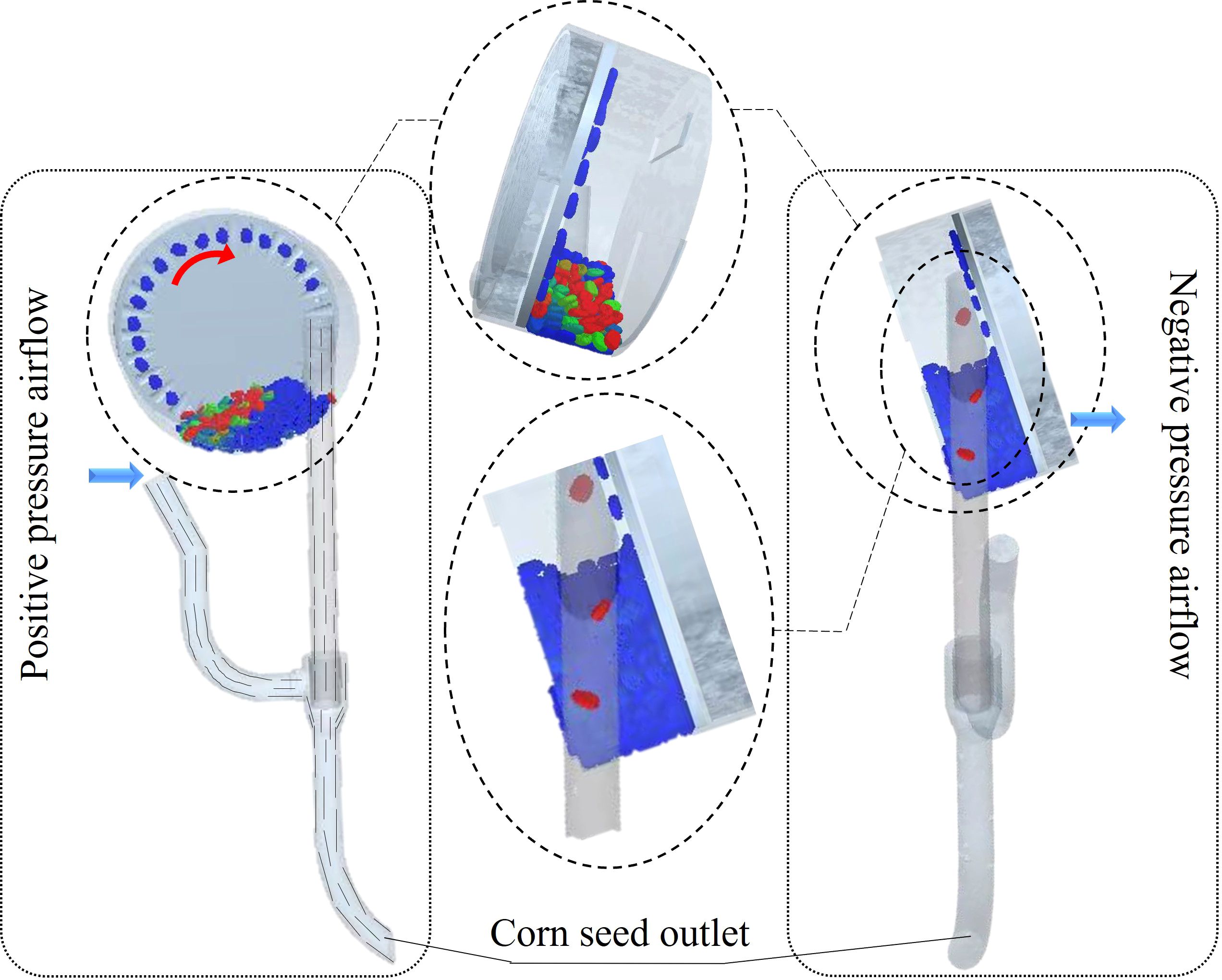 Diagram illustrating a mechanism involving positive and negative pressure airflow for corn seed processing. On the left, seeds enter a circular chamber under positive pressure, shown by blue airflow arrows and red rotation arrow. The middle close-up shows seeds in the chamber. The right side depicts seeds exiting through the corn seed outlet via negative pressure airflow, indicated by arrows.