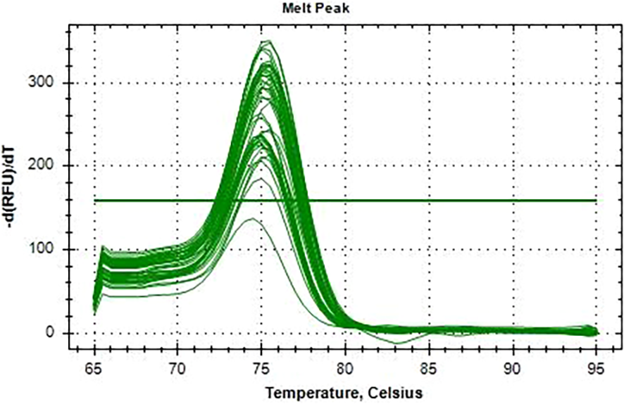 Graph displaying a melt peak analysis, with temperature in Celsius on the x-axis and -d(RFU)/dT on the y-axis. Multiple green curves show melt peaks around 75 to 80 degrees Celsius, with the maximum around 78 degrees. The graph indicates relative fluorescence changes over temperature.