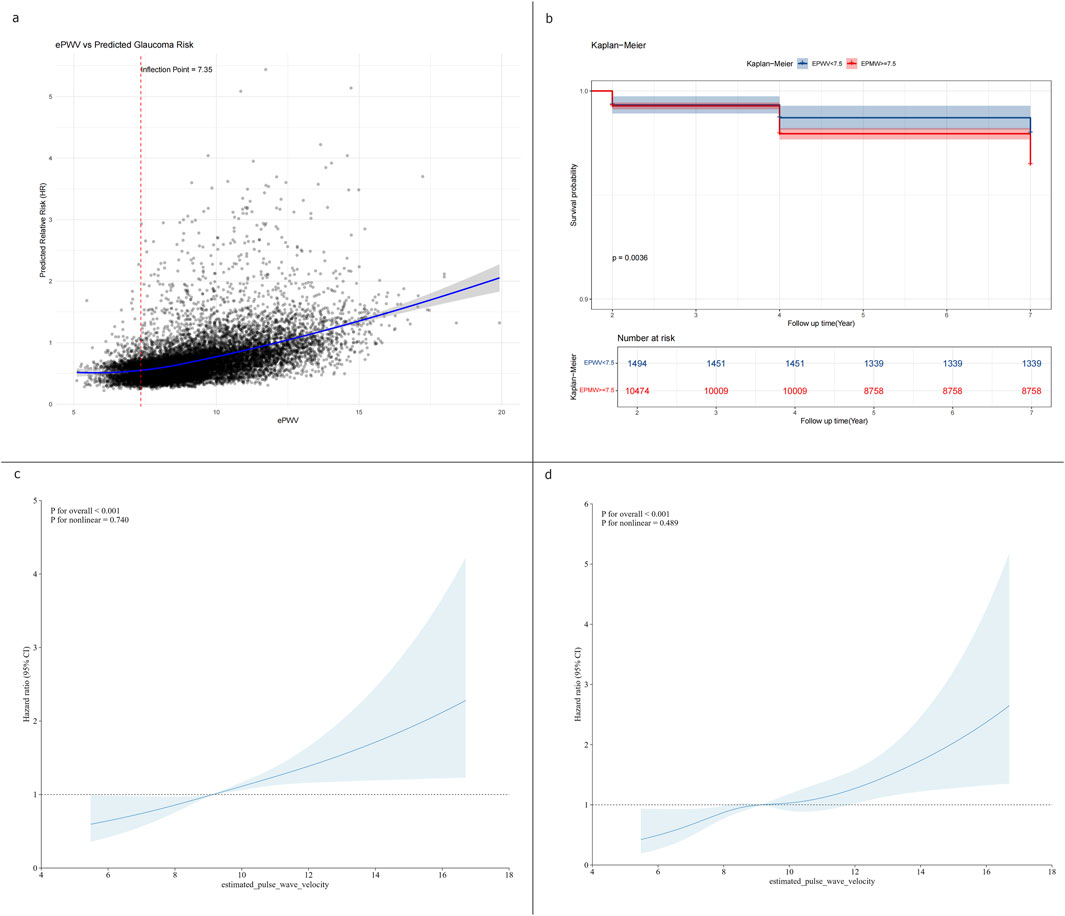 A four-part data visualization. Panel a: Scatter plot showing the relationship between ePWV and predicted glaucoma risk with an inflection point at 7.35. Panel b: Kaplan-Meier survival curve comparing groups with ePWV less than or greater than 7.5 over a seven-year follow-up, highlighting a significant p-value of 0.0036. Panel c: Graph of hazard ratio against estimated pulse wave velocity (ePWV), displaying confidence intervals and p-values. Panel d: Similar graph as panel c with a hazard ratio comparison against ePWV, showing significant p-values.