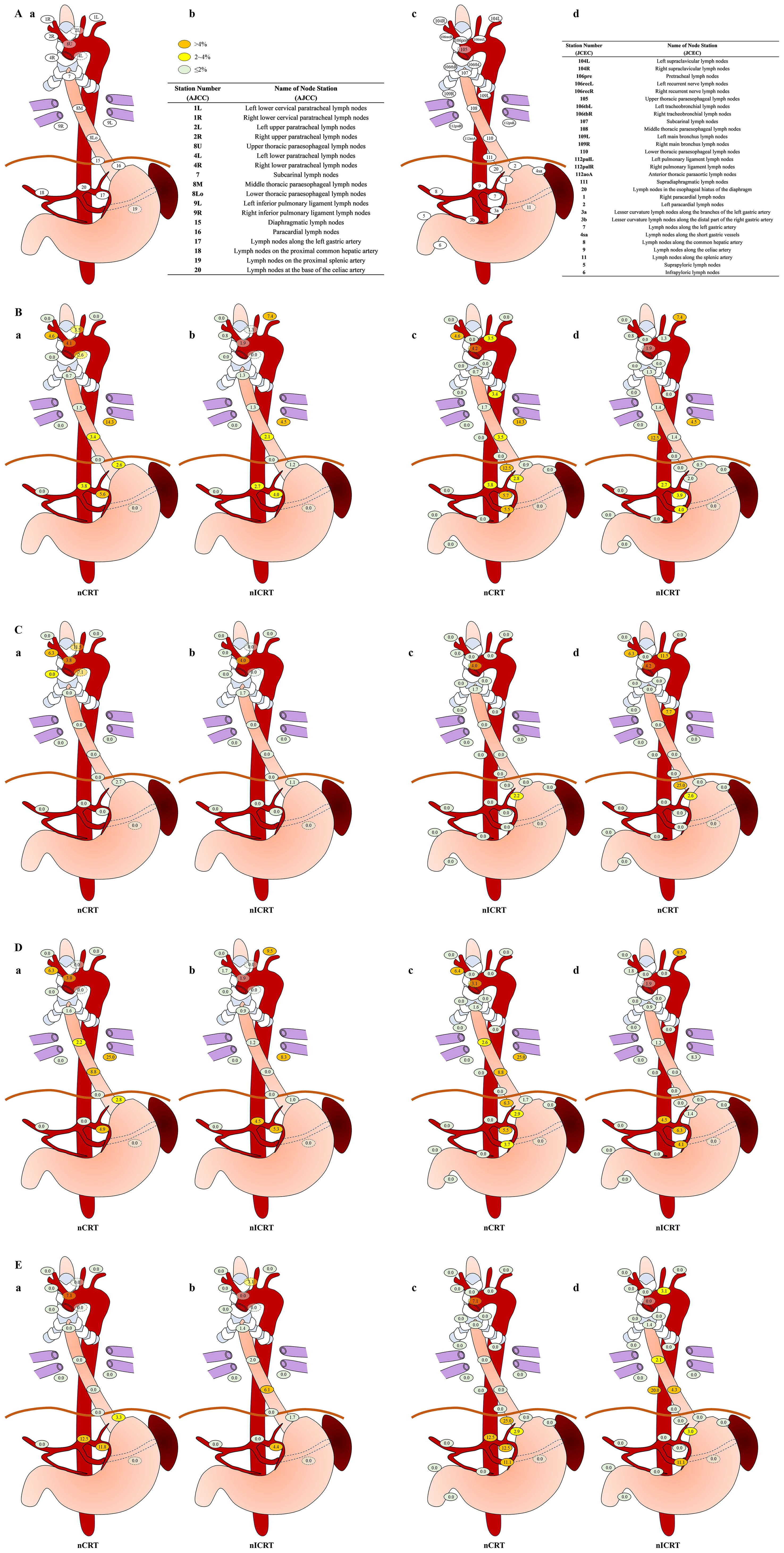 A series of medical illustrations showing the lymph node stations around the digestive system. Each row represents stages I to V and is divided into sections a, b, c, and d, depicting various lymph node stations with different color-coded percentages. A key differentiates the levels of involvement by lymph nodes, labeled with numbers corresponding to their anatomical position in the gastrointestinal tract. The illustrations include detailed views of the esophagus, stomach, and associated blood vessels with focus on lymph node regions. The term “nCRT” appears at the bottom of certain images, indicating treatment stages.