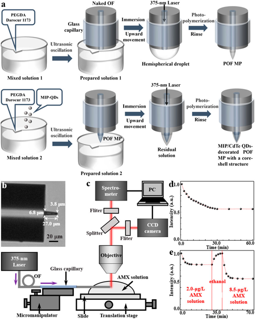 Illustration of an experimental setup in multiple panels. Panel (a) shows a flowchart of the preparation of PEGDA-based optical fibers with and without MIP-QDs. Panel (b) is an image of the fiber cross-section with dimensions labeled. Panel (c) details the optical setup involving a spectrometer, CCD camera, and translation stage for AMX solution analysis. Panels (d) and (e) depict graphs of intensity versus time, indicating changes in intensity with different AMX and ethanol solutions.