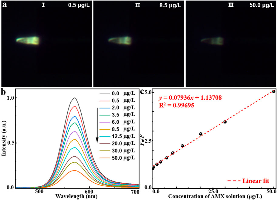Three images labeled as I, II, and III show fluorescent objects at varying concentrations of 0.5, 8.5, and 50.0 micrograms per liter. Below, a graph compares wavelength and intensity for different concentrations, peaking near 600 nanometers. Another graph shows a linear fit with the equation y = 0.07936x + 1.13708, R² = 0.99695, plotting AMX solution concentration against a fluorescence ratio.