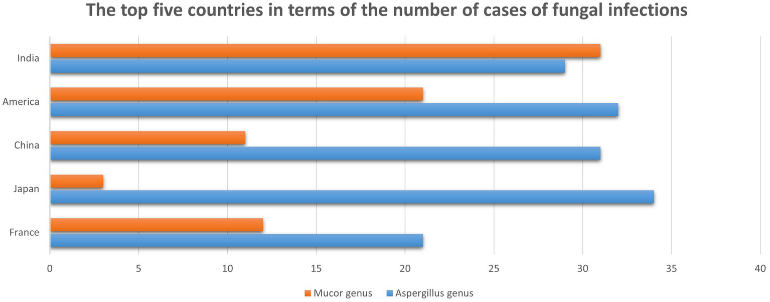 Bar chart showing the top five countries with fungal infection cases. India, America, and China have the highest, with Aspergillus cases around thirty-five, while Japan and France have fewer. Mucor cases are generally lower, most in India.