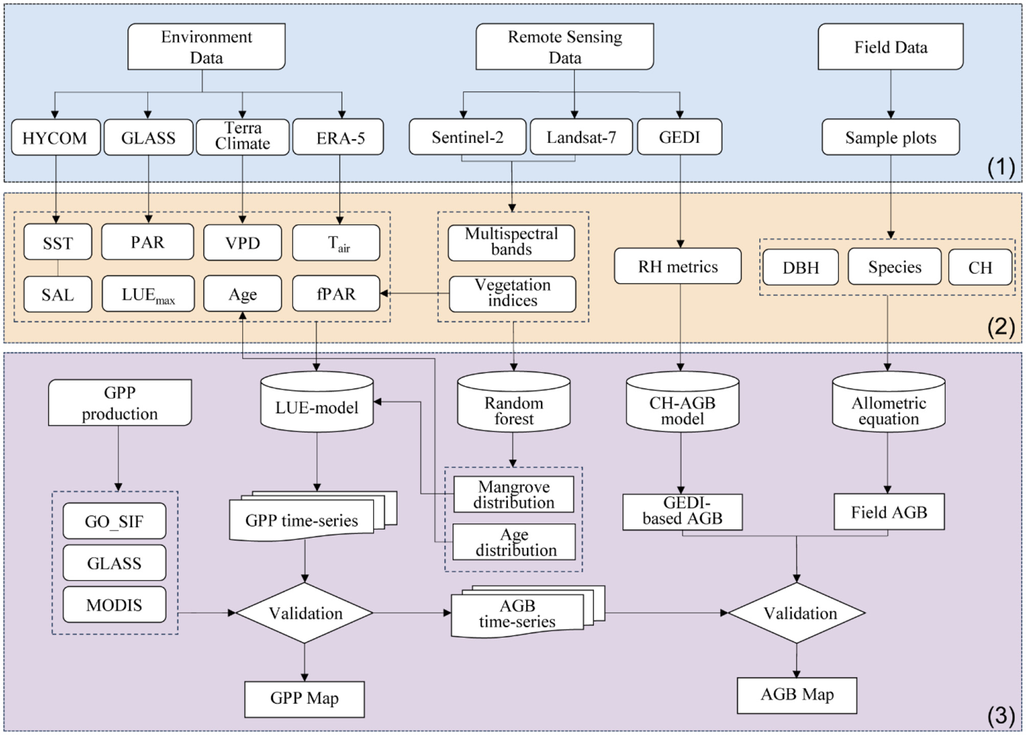 Flowchart illustrating a data processing framework divided into three sections: 1. Data Acquisition: Sources include HYCOM, GLASS, Terra Climate, ERA-5 for environment data; Sentinel-2, Landsat-7, GEDI for remote sensing; and sample plots for field data. 2. Data Analysis: Variables analyzed include SST, PAR, VPD, T_air, SAL, LUE_max, Age, fPAR, multispectral bands, vegetation indices, RH metrics, DBH, species, and CH. 3. Output Generation: GPP production and LUE-model use data for GPP time-series and GPP map creation; Random forest analyzes mangrove age distribution; CH-AGB model and allometric equation process GEDI-based and field AGB data leading to AGB time-series and AGB map, with validation steps included.