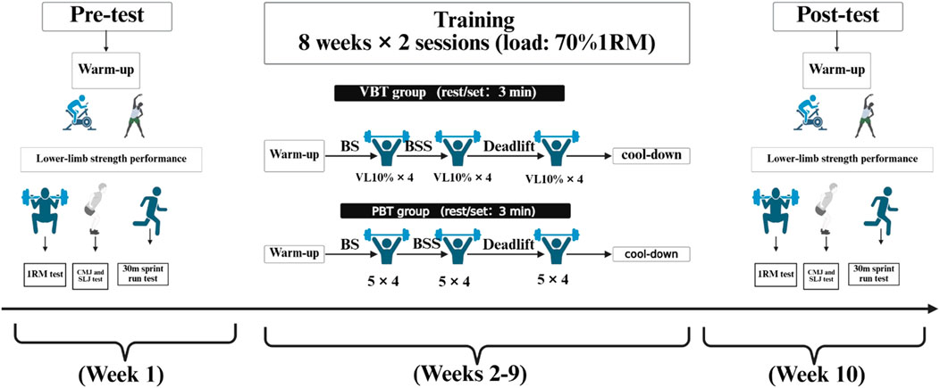 Flowchart showing a 10-week study with pre- and post-testing bracketing an 8-week training period. Week 1 includes a standardized warm-up and baseline assessments of lower-limb performance: one-repetition maximum (1RM), countermovement jump (CMJ), standing long jump (SLJ), and a 30m sprint. Weeks 2-9 comprise supervised training for two groups: velocity-based training (VBT) and percentage-based training (PBT). Each session includes warm-up, multi-joint lifts (back squat, Bulgarian split-squat, deadlift) with prescribed sets, repetitions, and rest intervals, followed by cool-down. Week 10 repeats the same tests as Week 1 to evaluate changes. Boxes and arrows depict sequence and group allocation.