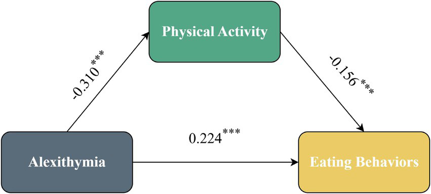 Flowchart illustrating the relationships between alexithymia, physical activity, and eating behaviors. Alexithymia impacts physical activity negatively with a coefficient of negative 0.310. Physical activity influences eating behaviors negatively with a coefficient of negative 0.156. Alexithymia has a direct positive effect on eating behaviors with a coefficient of 0.224. All relationships are statistically significant, indicated by three asterisks.