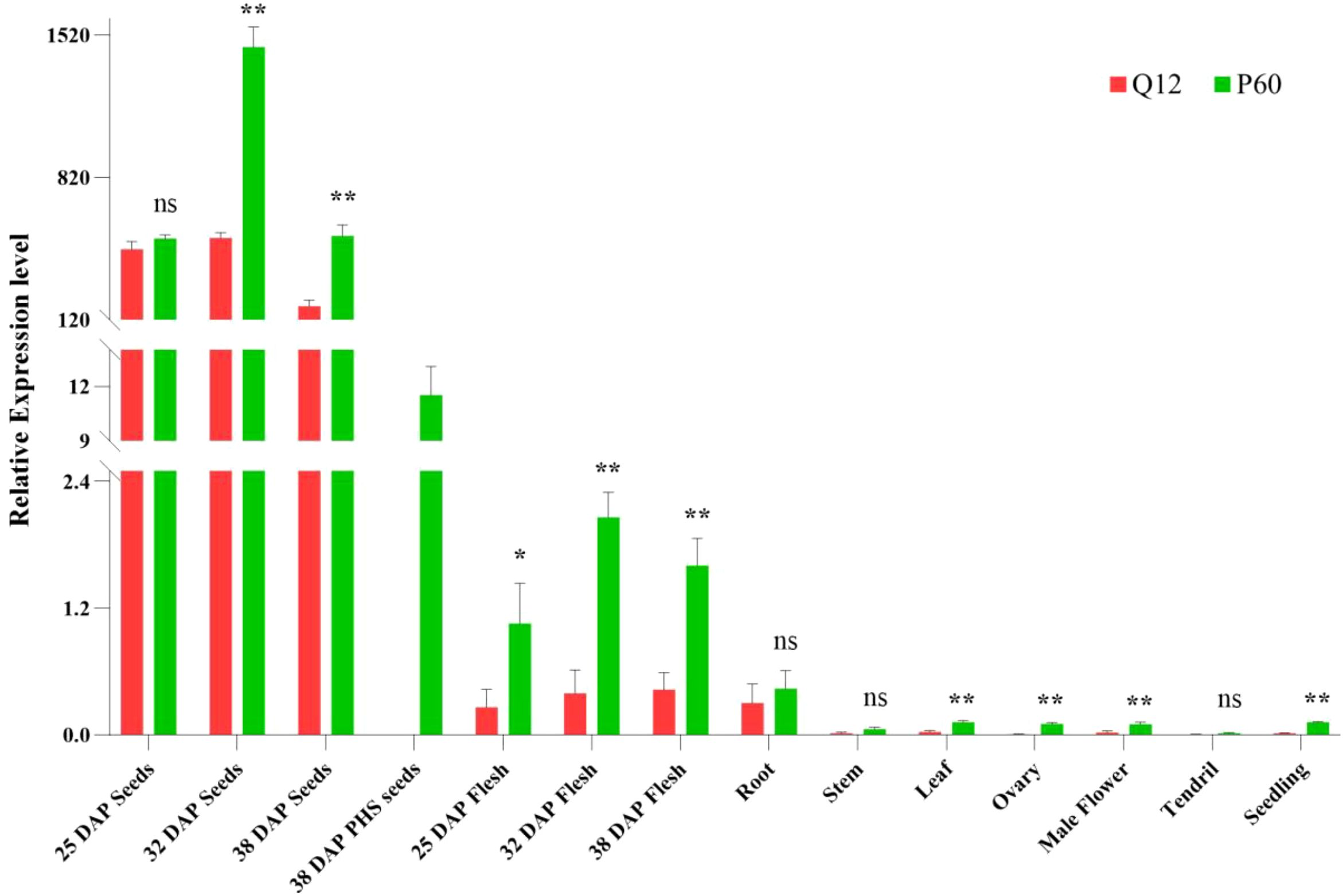 Bar chart comparing relative expression levels of Q12 and P60 across various samples. Green bars represent P60, red bars represent Q12. Significant differences are marked with asterisks. Notable differences in 25 and 38 DAP seeds and flesh samples.