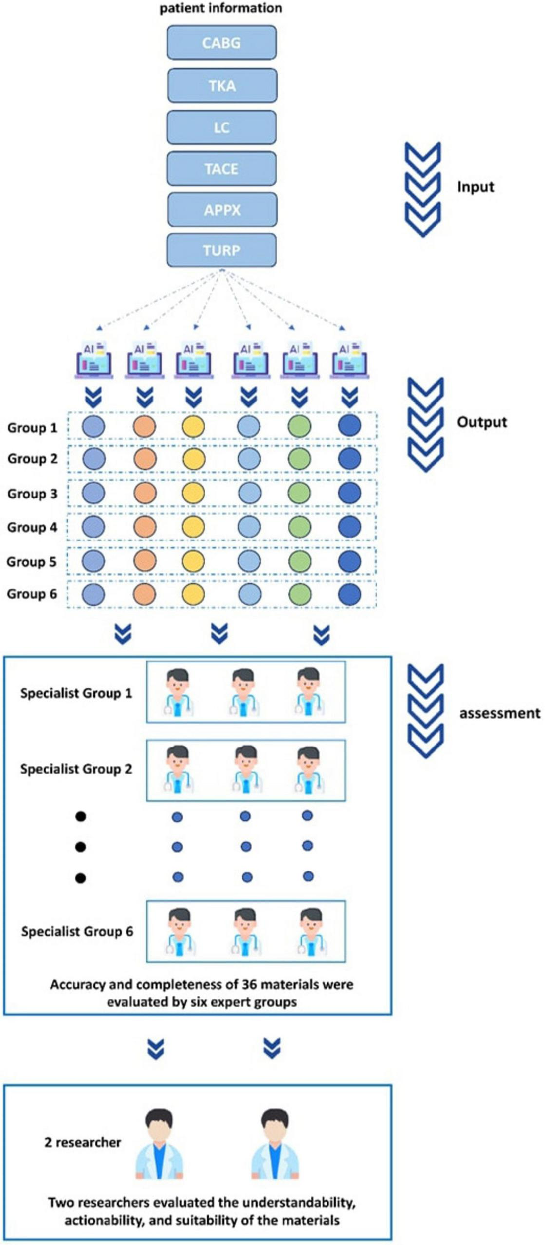 Flowchart showing the evaluation process of patient information in medical procedures like CABG, TKA, LC, TACE, APPX, and TURP. Input data is processed through AI systems and divided among six groups, evaluated by specialist groups for accuracy and completeness. Finally, two researchers assess understandability, actionability, and suitability.