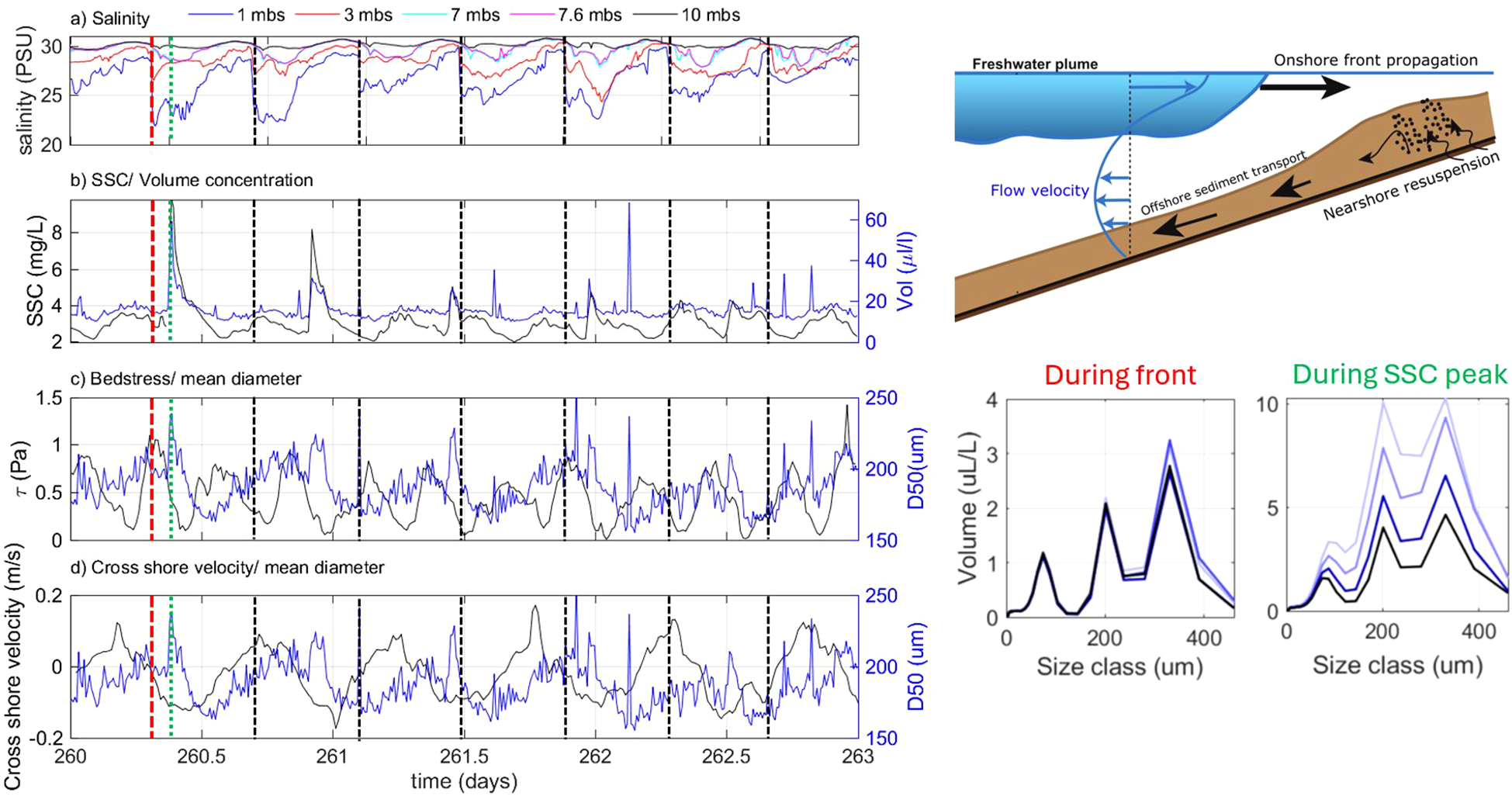 Graphs and diagrams depict sediment and salinity dynamics during offshore sediment transport. The graphs show salinity, suspended sediment concentration (SSC), bed stress, and cross-shore velocity over time, marked with colored lines representing measurements at different depths. The top-right diagram illustrates freshwater plume dynamics, including flow velocity, offshore sediment transport, and nearshore resuspension. Two additional graphs compare sediment size distribution during a front and SSC peak, with labels “During front” in red and “During SSC peak” in green, plotting size class against volume.