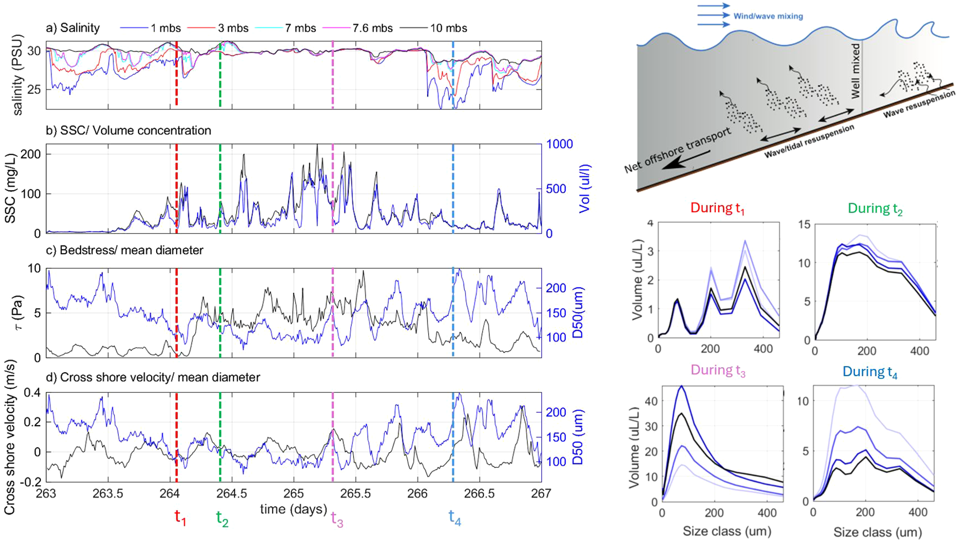 Graphs and an illustration showing oceanographic data. The graphs depict changes in salinity, suspended sediment concentration, bed stress, and cross-shore velocity over time at different depths. Key time intervals, labeled t1 to t4, are highlighted with corresponding lines. The illustration shows wind and wave mixing and sediment transport, indicating well-mixed and wave resuspension zones. Additional graphs display volume changes in size classes during these intervals.