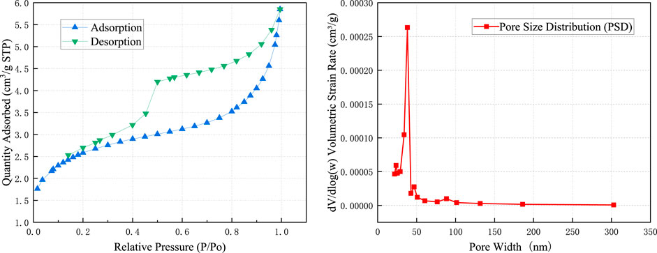 Two graphs are displayed. The left graph shows adsorption and desorption curves, with adsorption in blue and desorption in green, plotting quantity adsorbed against relative pressure. The right graph depicts pore size distribution (PSD) in red, showing volumetric strain rate against pore width, with a peak at low pore width.