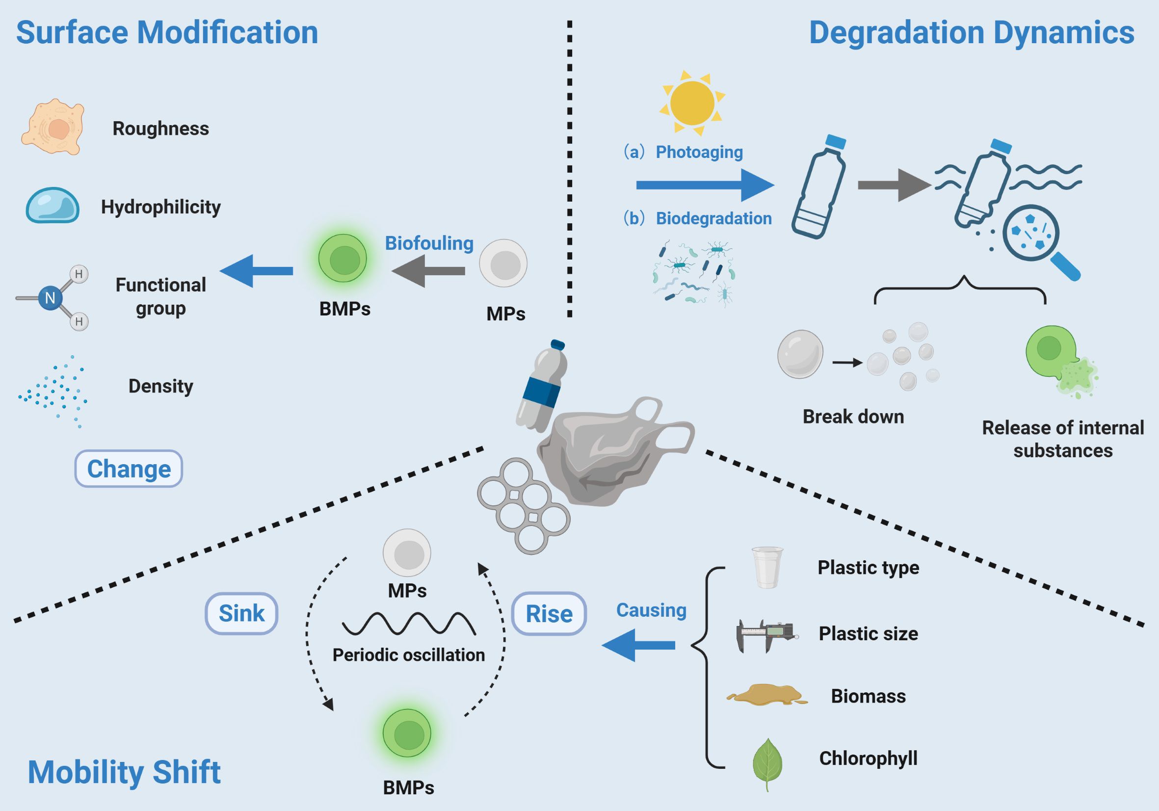 Diagram illustrating microplastic processes. Surface modification: factors include roughness, hydrophilicity, functional groups, density, biofouling. Degradation dynamics: photoaging, biodegradation, breakdown of plastics, and substance release. Mobility shift: plastics sink or rise due to periodic oscillation, plastic type, size, biomass, and chlorophyll levels.